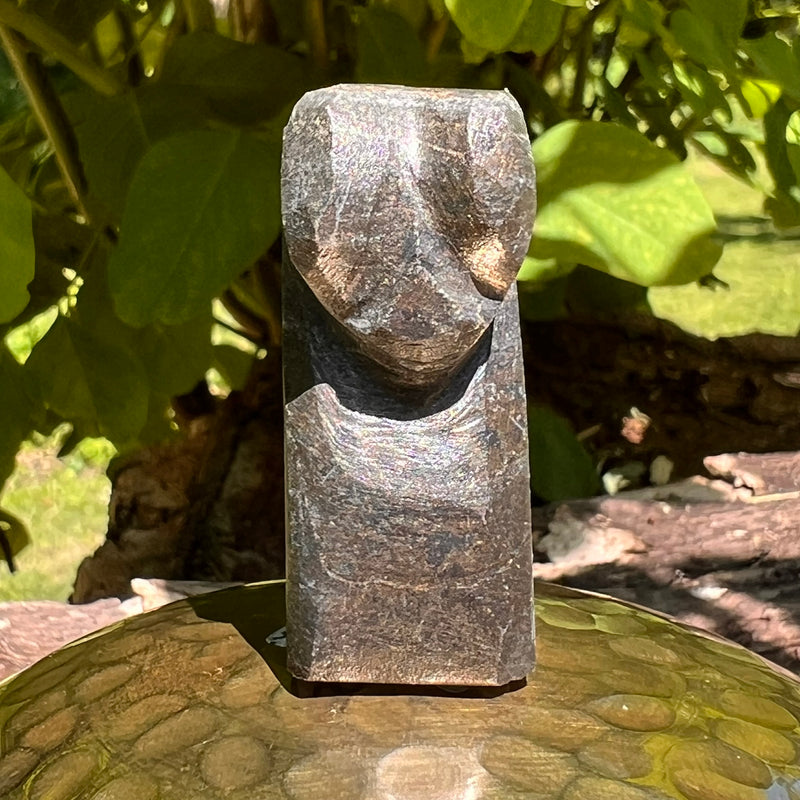 Alien Crystal Carving - Alienite® Star Being #25-Moldavite Life