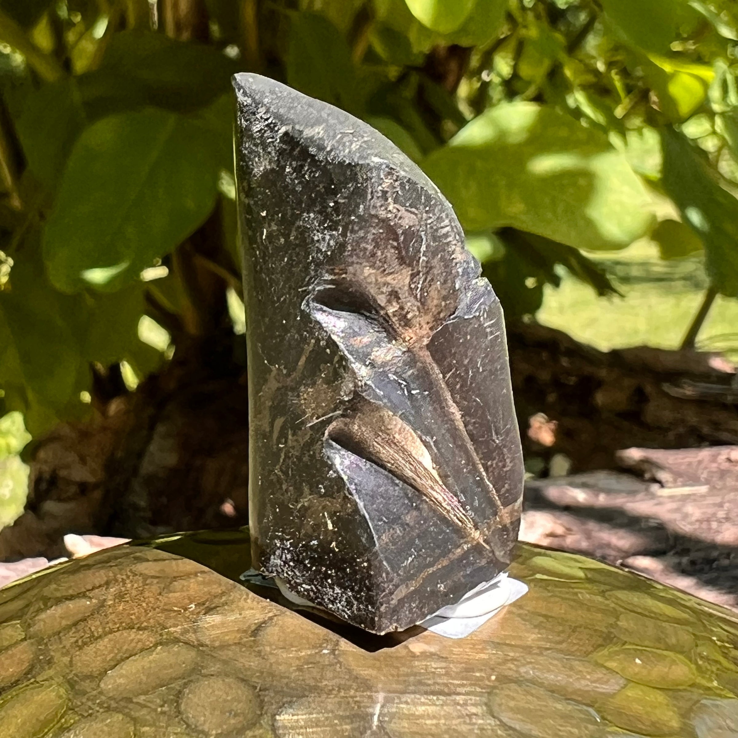Alien Crystal Carving - Alienite® Star Being #26-Moldavite Life