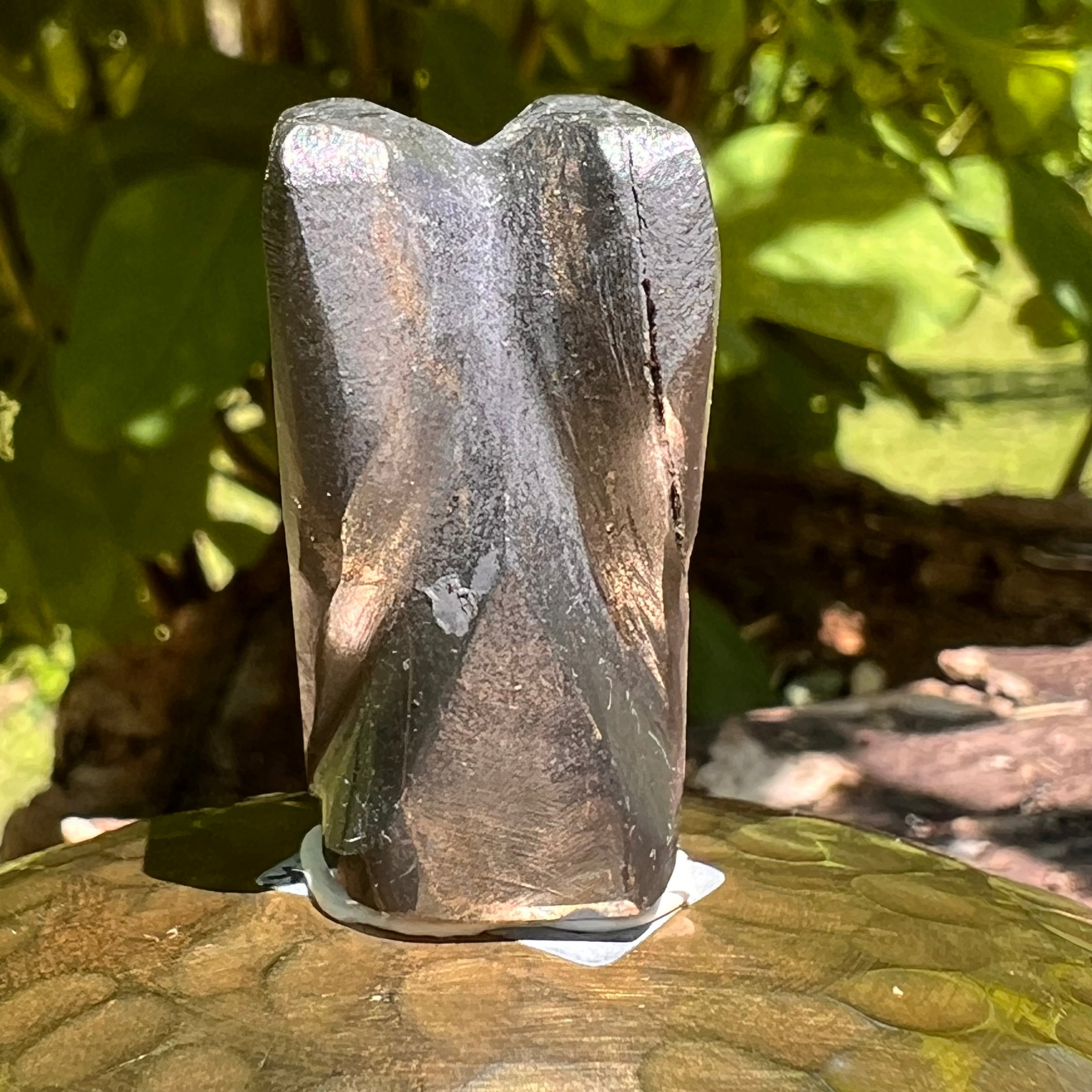 Alien Crystal Carving - Alienite® Star Being #27-Moldavite Life