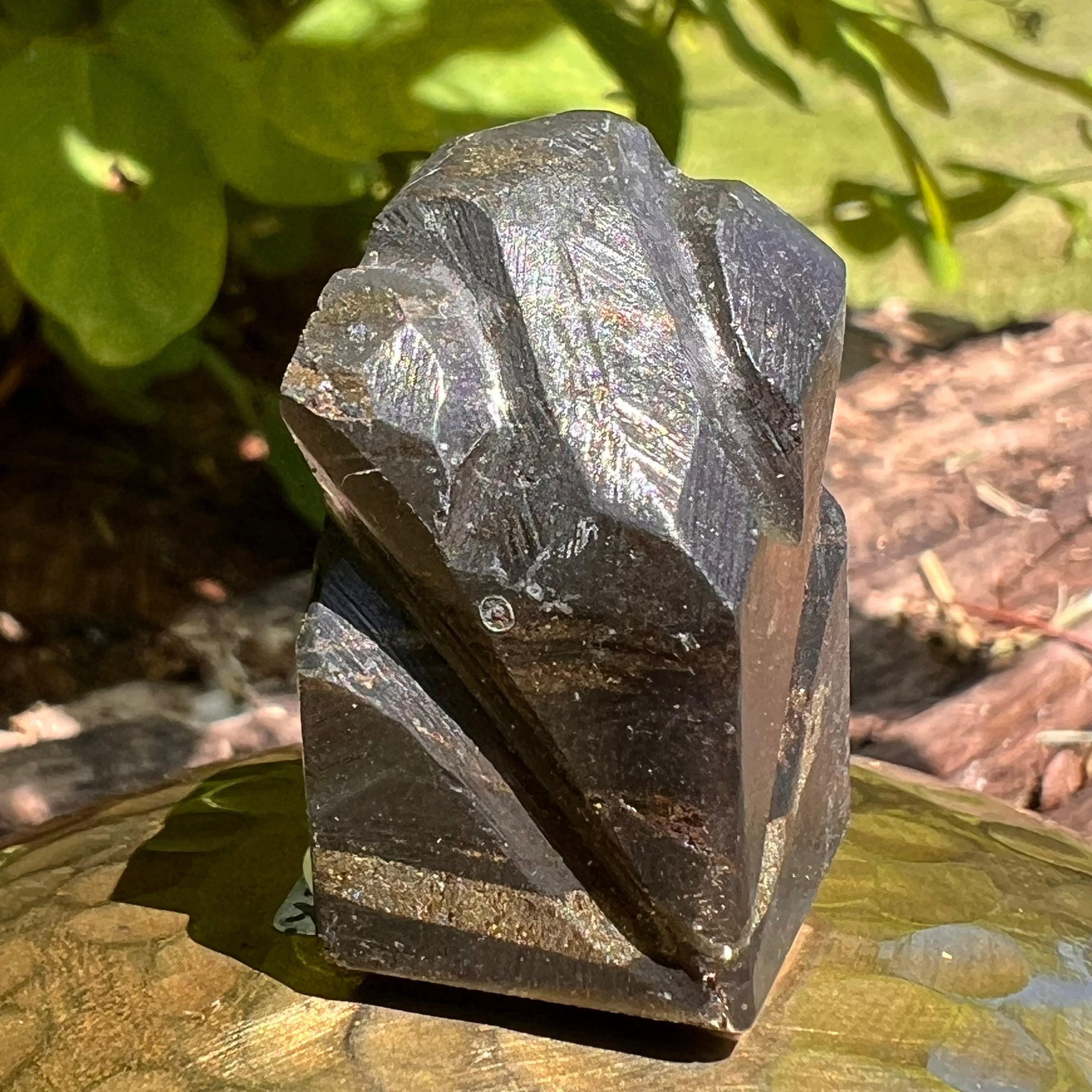 Alien Crystal Carving - Alienite® Star Being #28-Moldavite Life