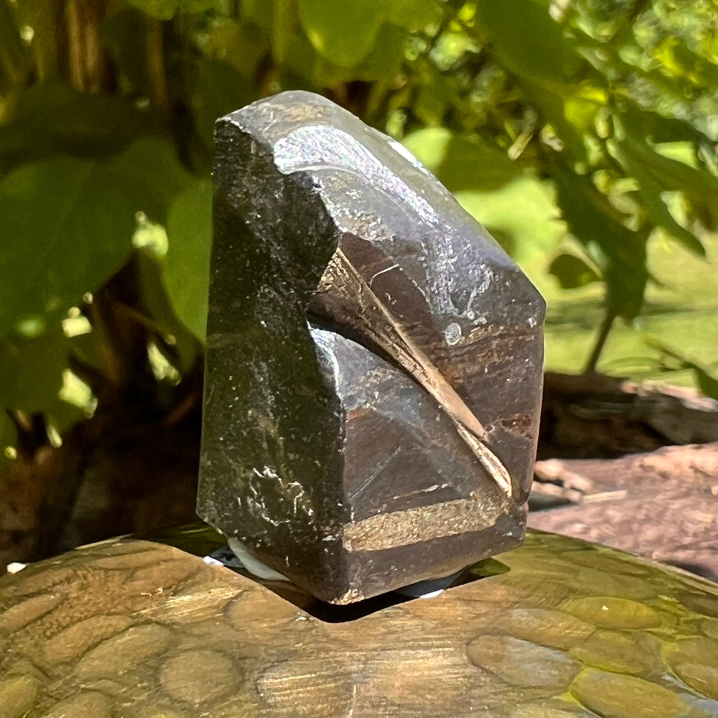 Alien Crystal Carving - Alienite® Star Being #28-Moldavite Life