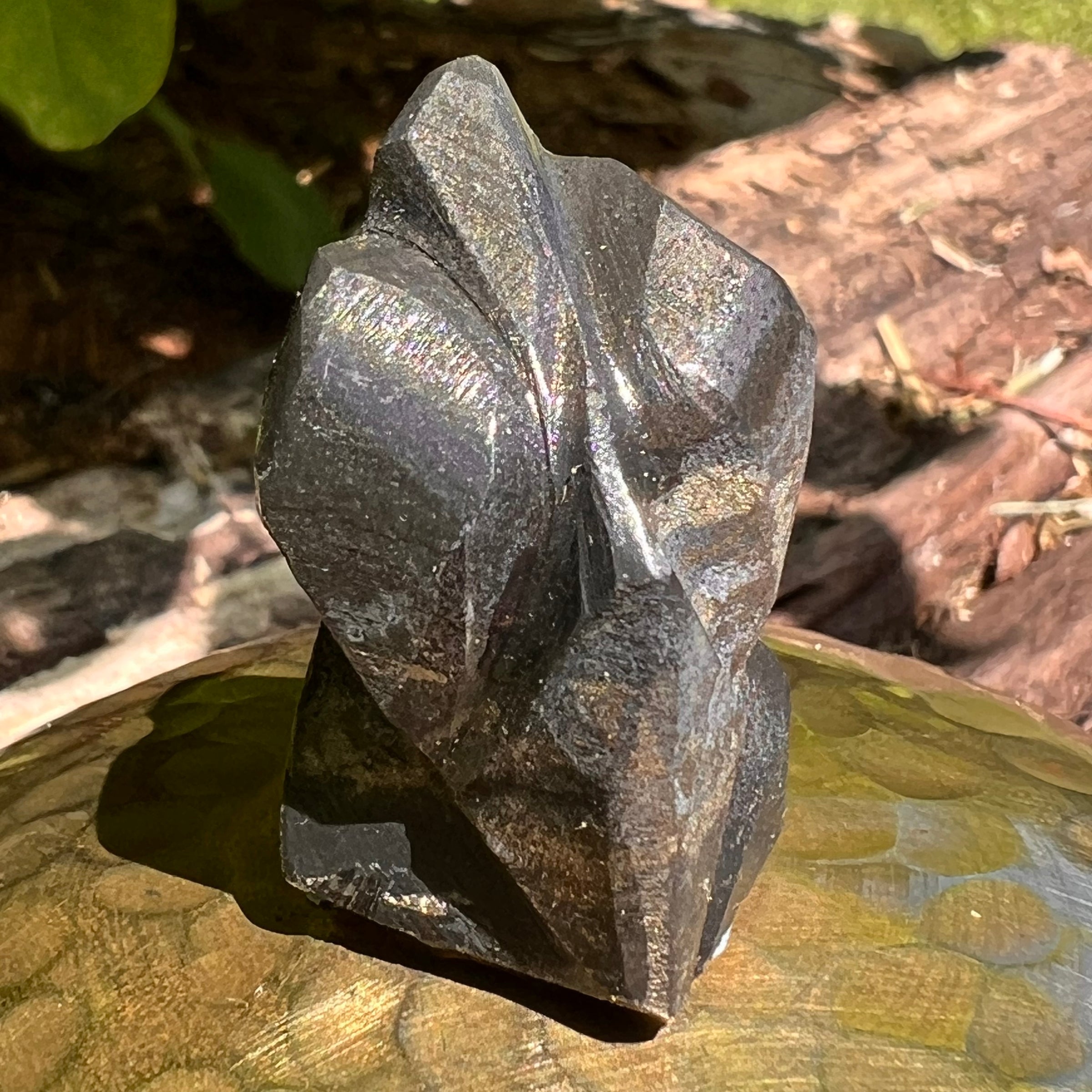 Alien Crystal Carving - Alienite® Star Being #29-Moldavite Life