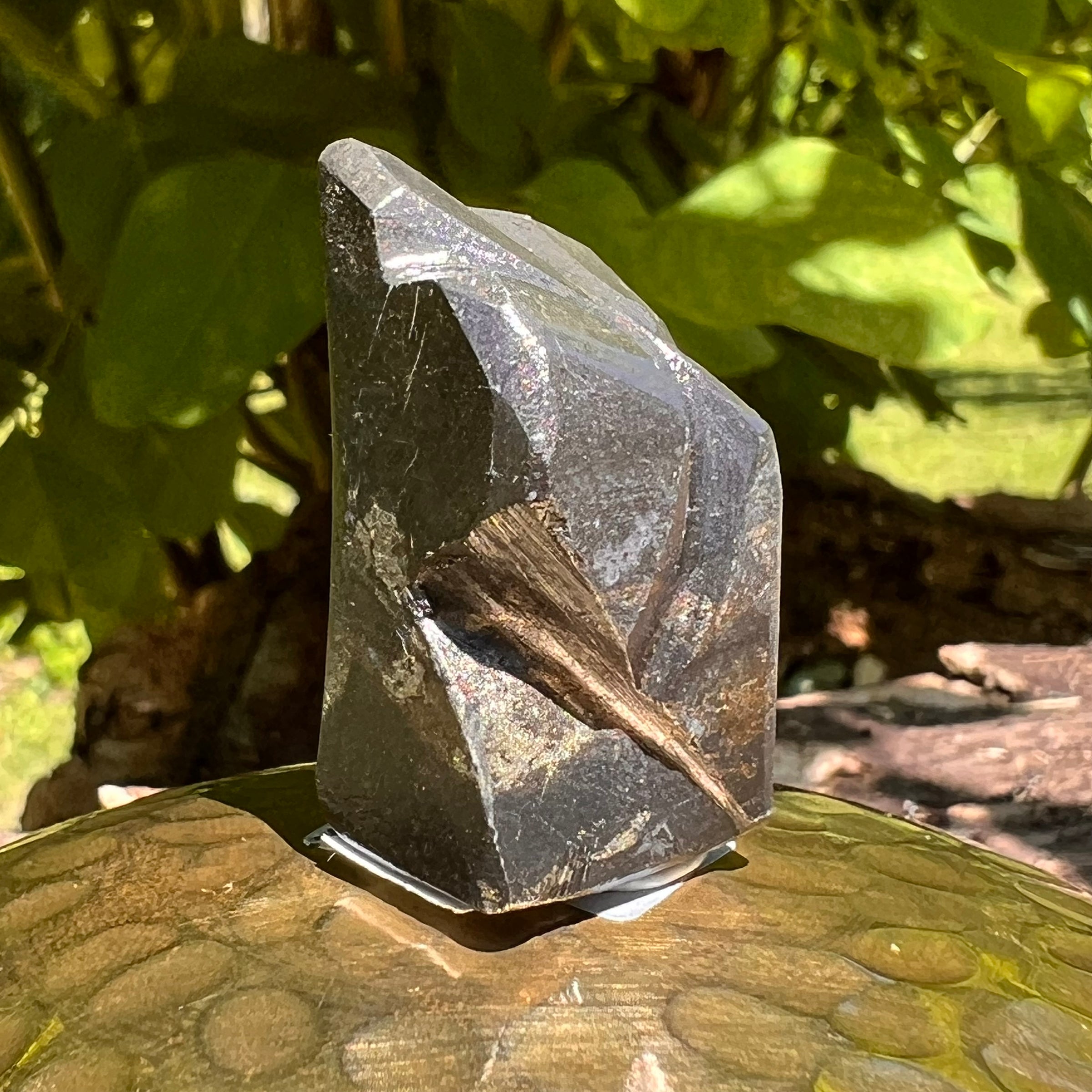 Alien Crystal Carving - Alienite® Star Being #29-Moldavite Life