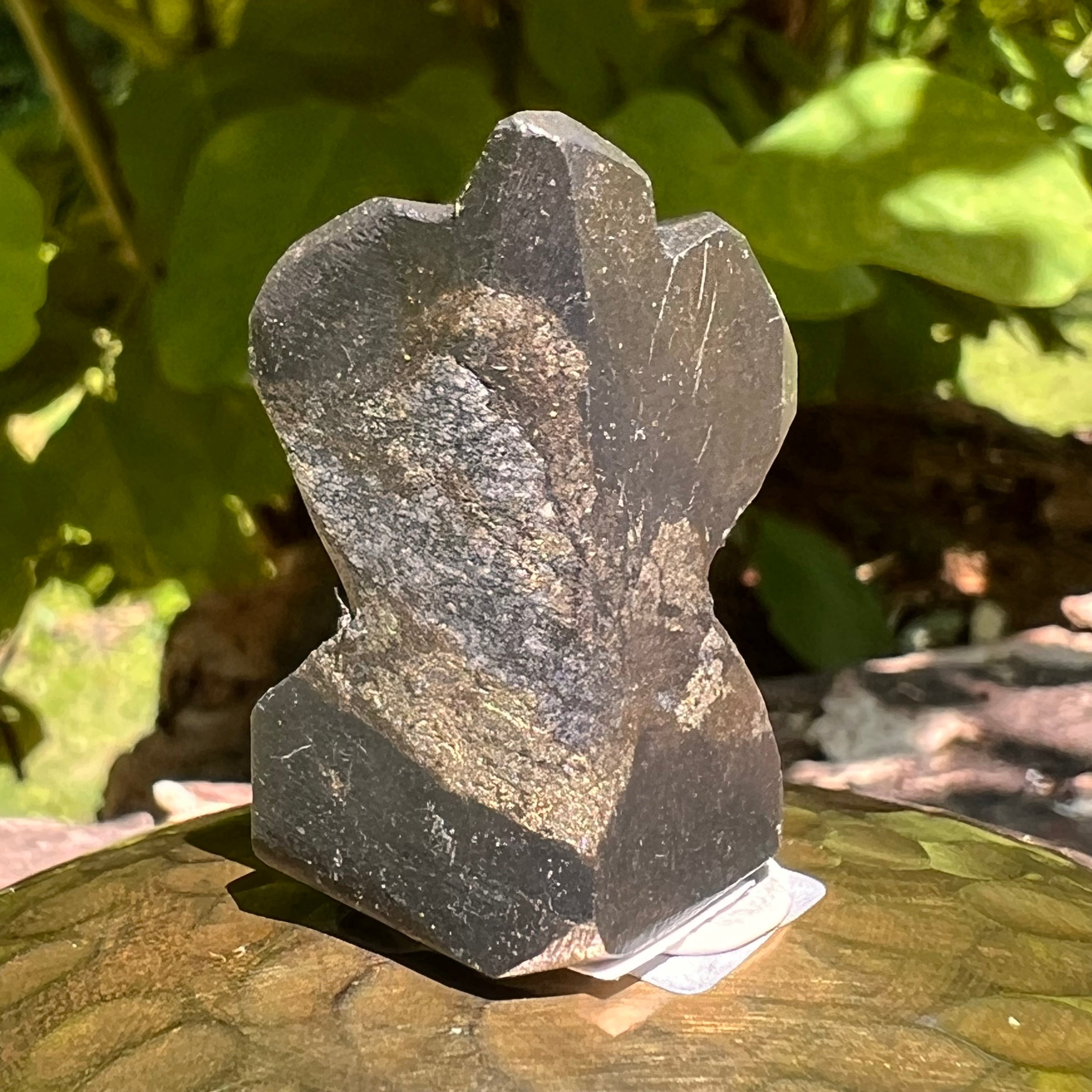 Alien Crystal Carving - Alienite® Star Being #29-Moldavite Life