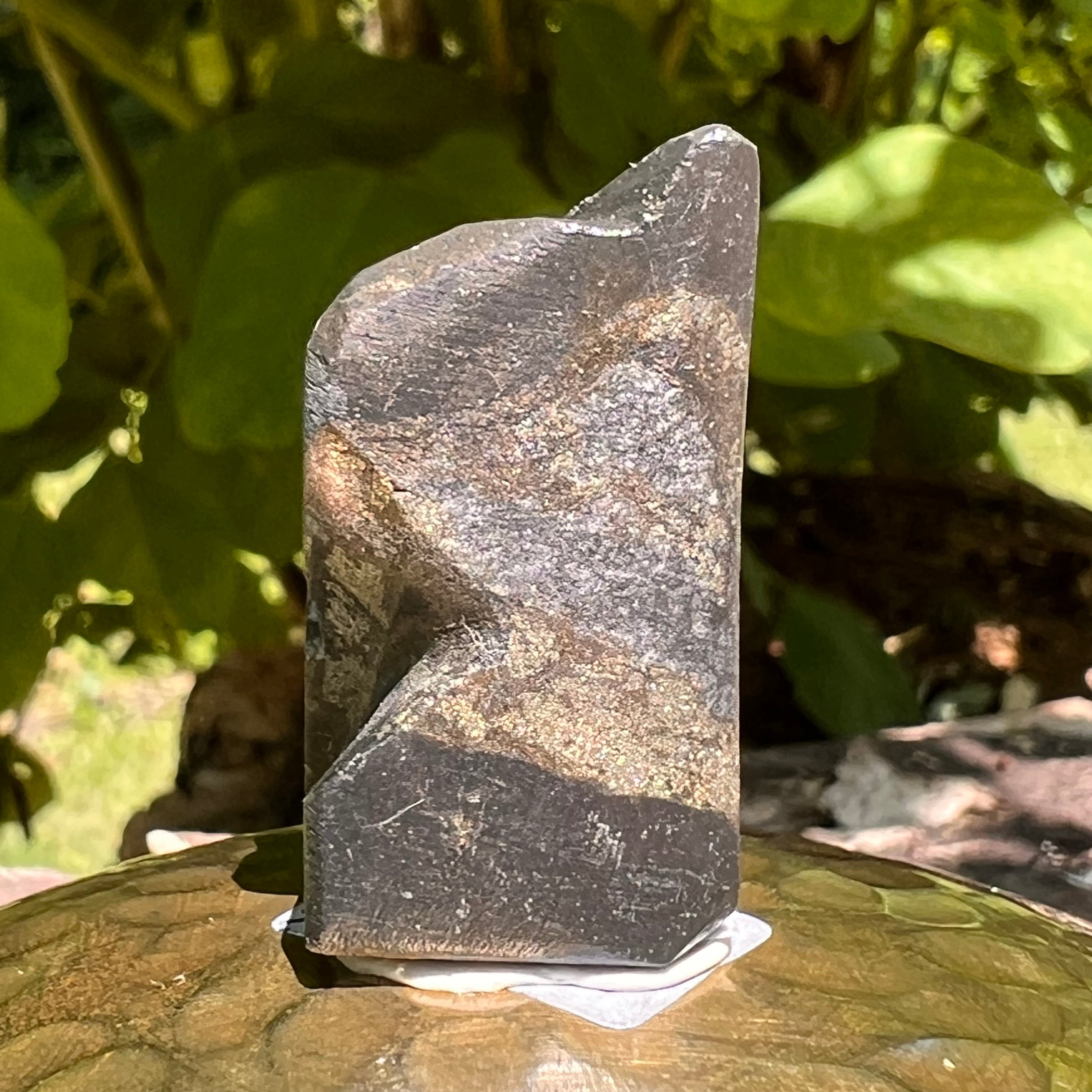 Alien Crystal Carving - Alienite® Star Being #29-Moldavite Life