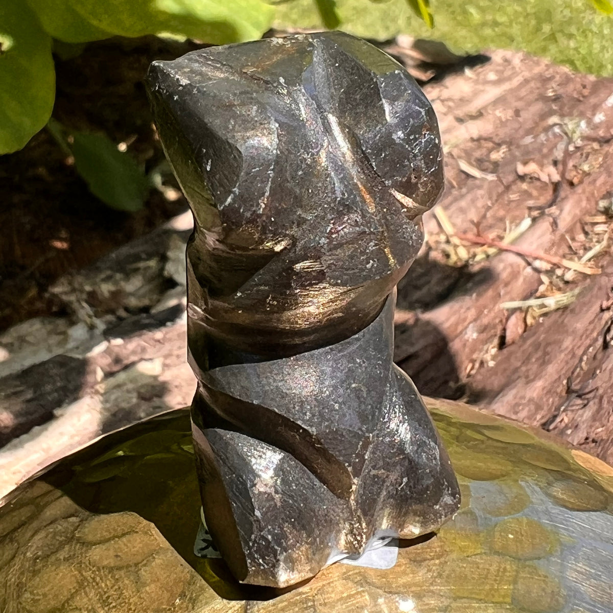 Alien Crystal Carving - Alienite® Star Being #30-Moldavite Life