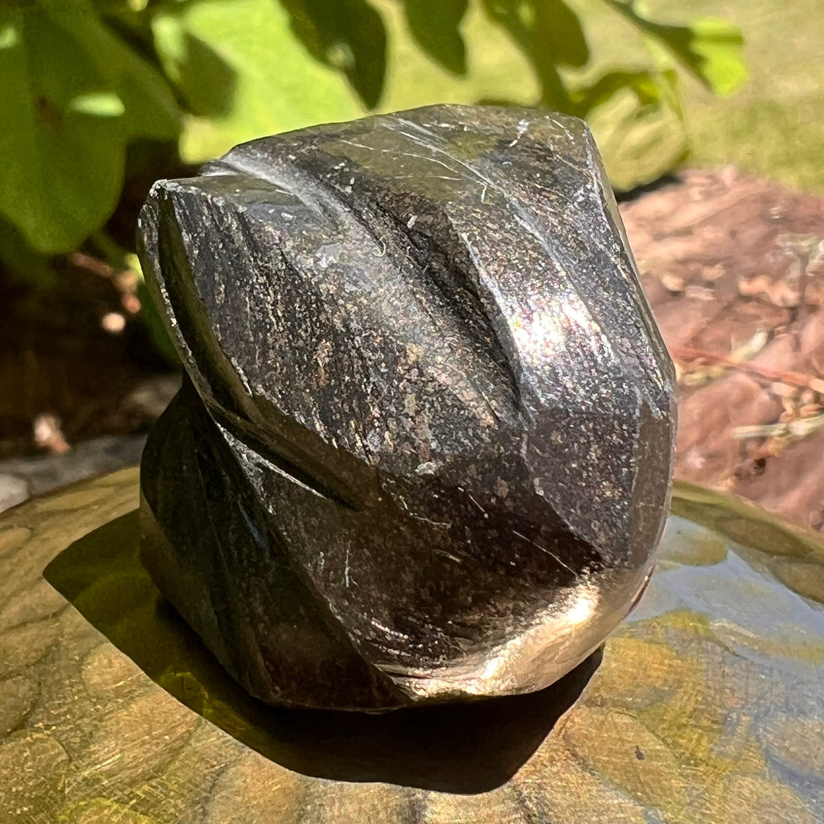 Alien Crystal Carving - Alienite® Star Being #31-Moldavite Life
