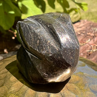 Alien Crystal Carving - Alienite® Star Being #31-Moldavite Life