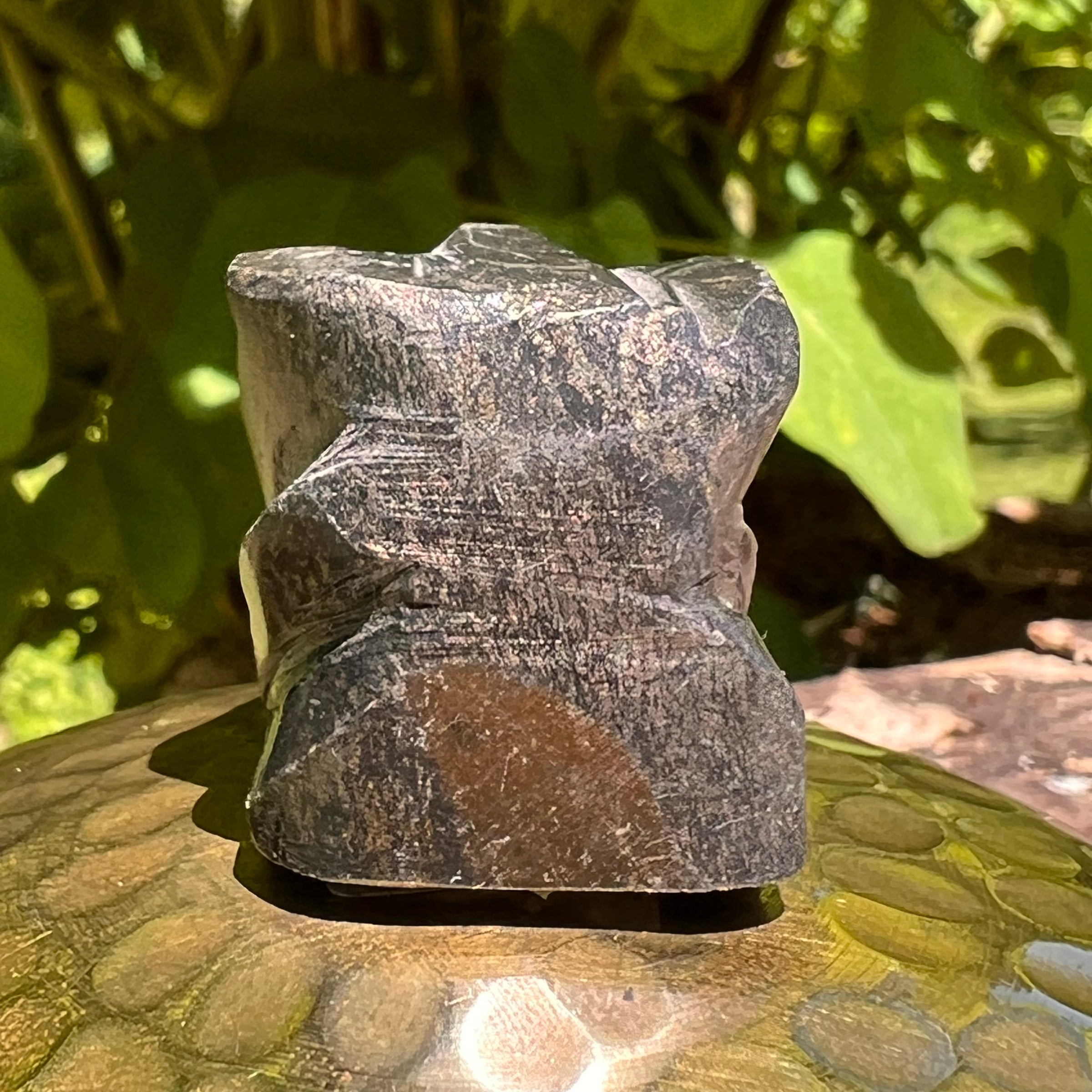 Alien Crystal Carving - Alienite® Star Being #31-Moldavite Life