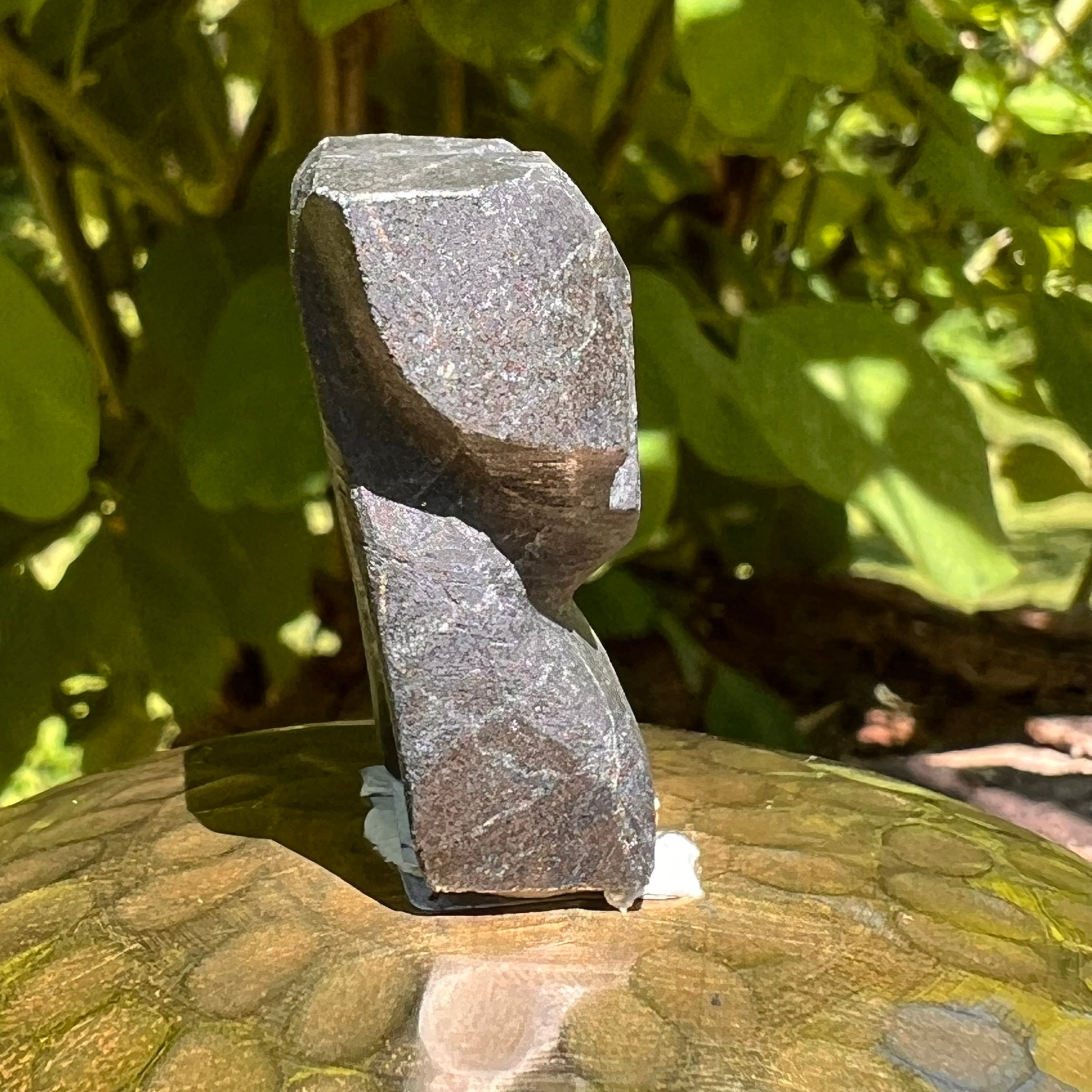Alien Crystal Carving - Alienite® Star Being #32-Moldavite Life