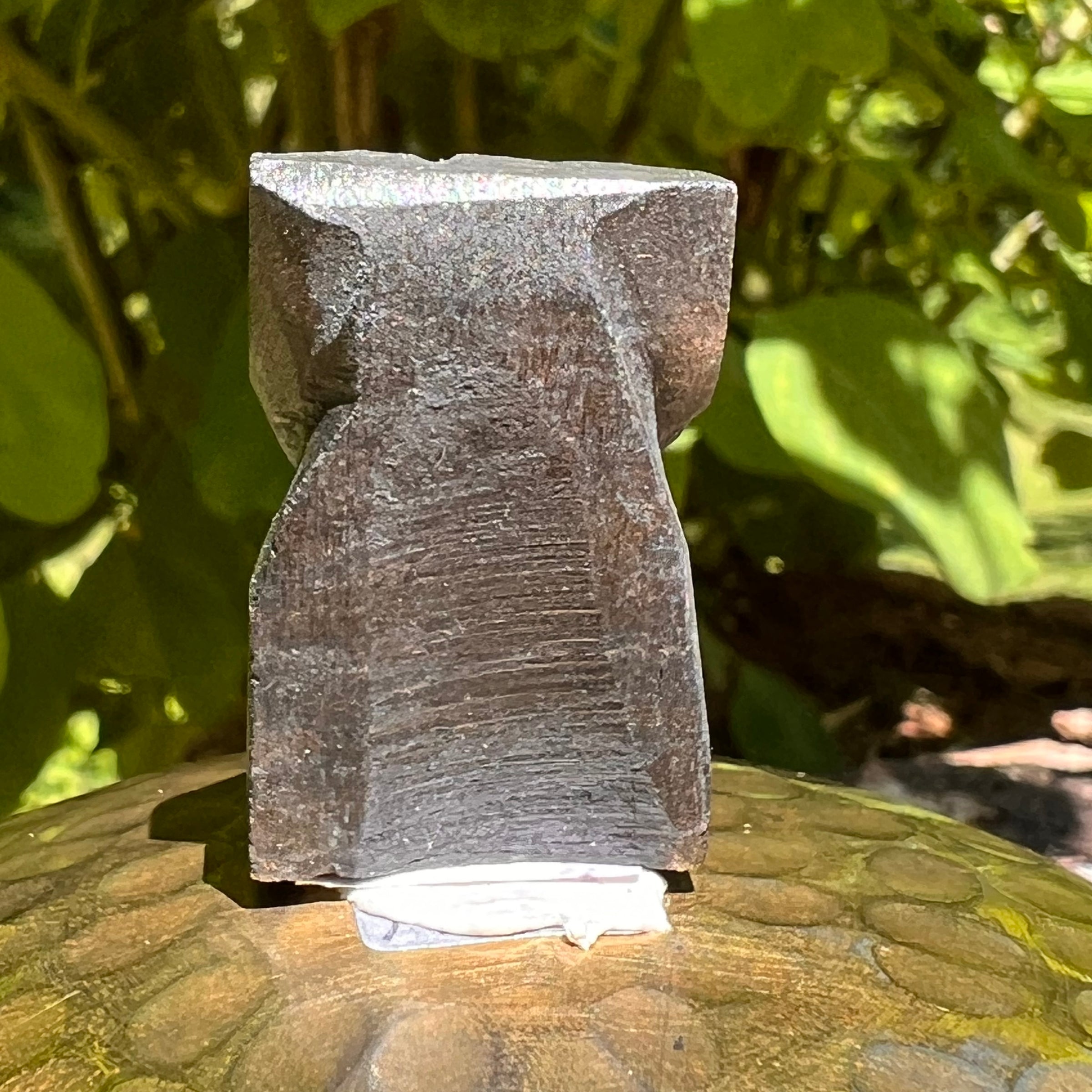 Alien Crystal Carving - Alienite® Star Being #32-Moldavite Life