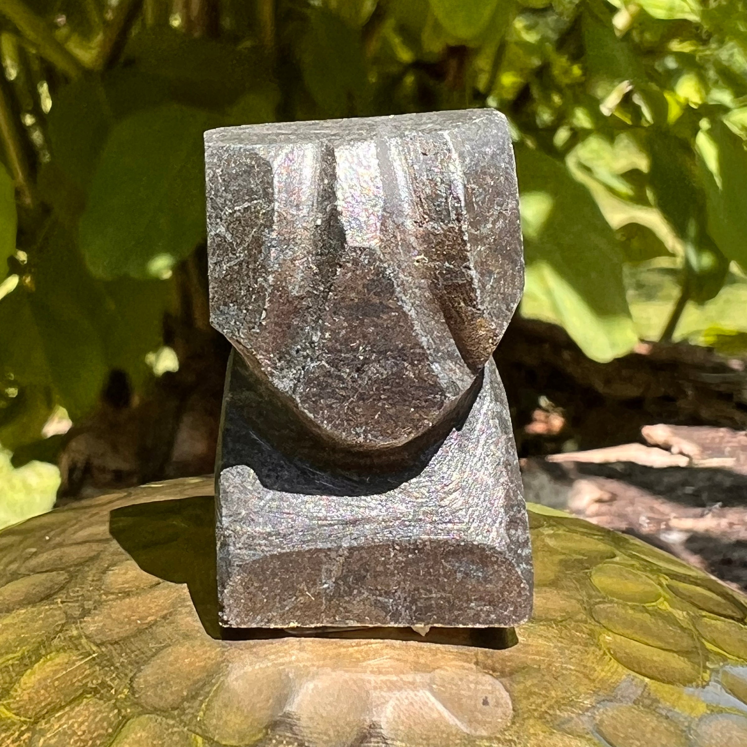 Alien Crystal Carving - Alienite® Star Being #32-Moldavite Life