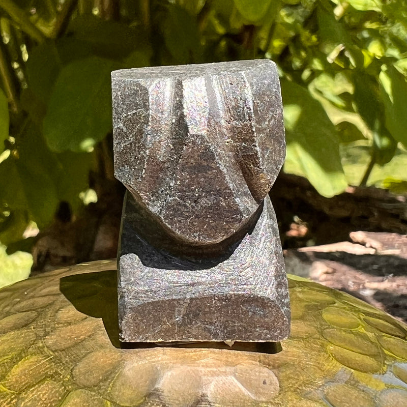 Alien Crystal Carving - Alienite® Star Being #32-Moldavite Life