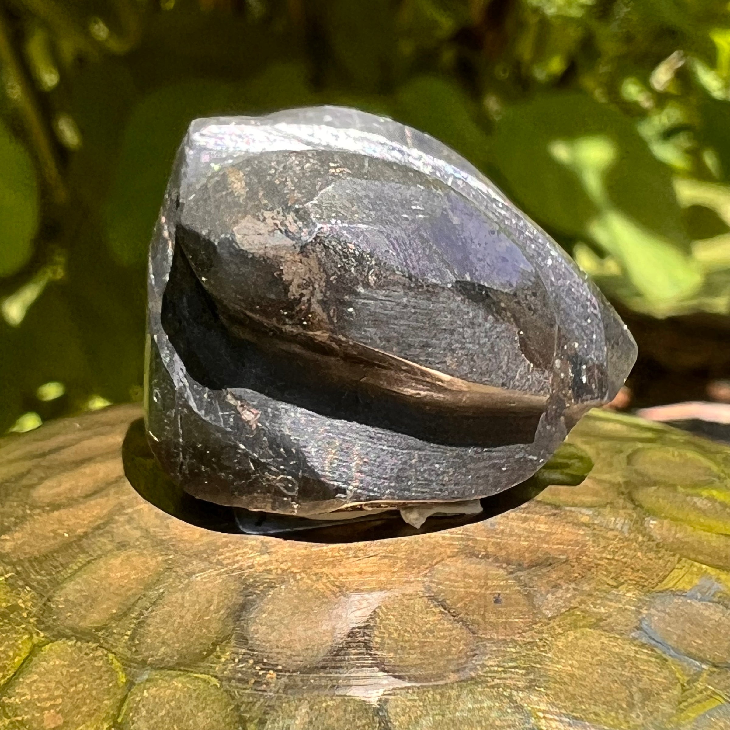 Alien Crystal Carving - Alienite® Star Being #33-Moldavite Life
