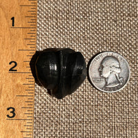 Alien Crystal Carving - Alienite® Star Being #33-Moldavite Life