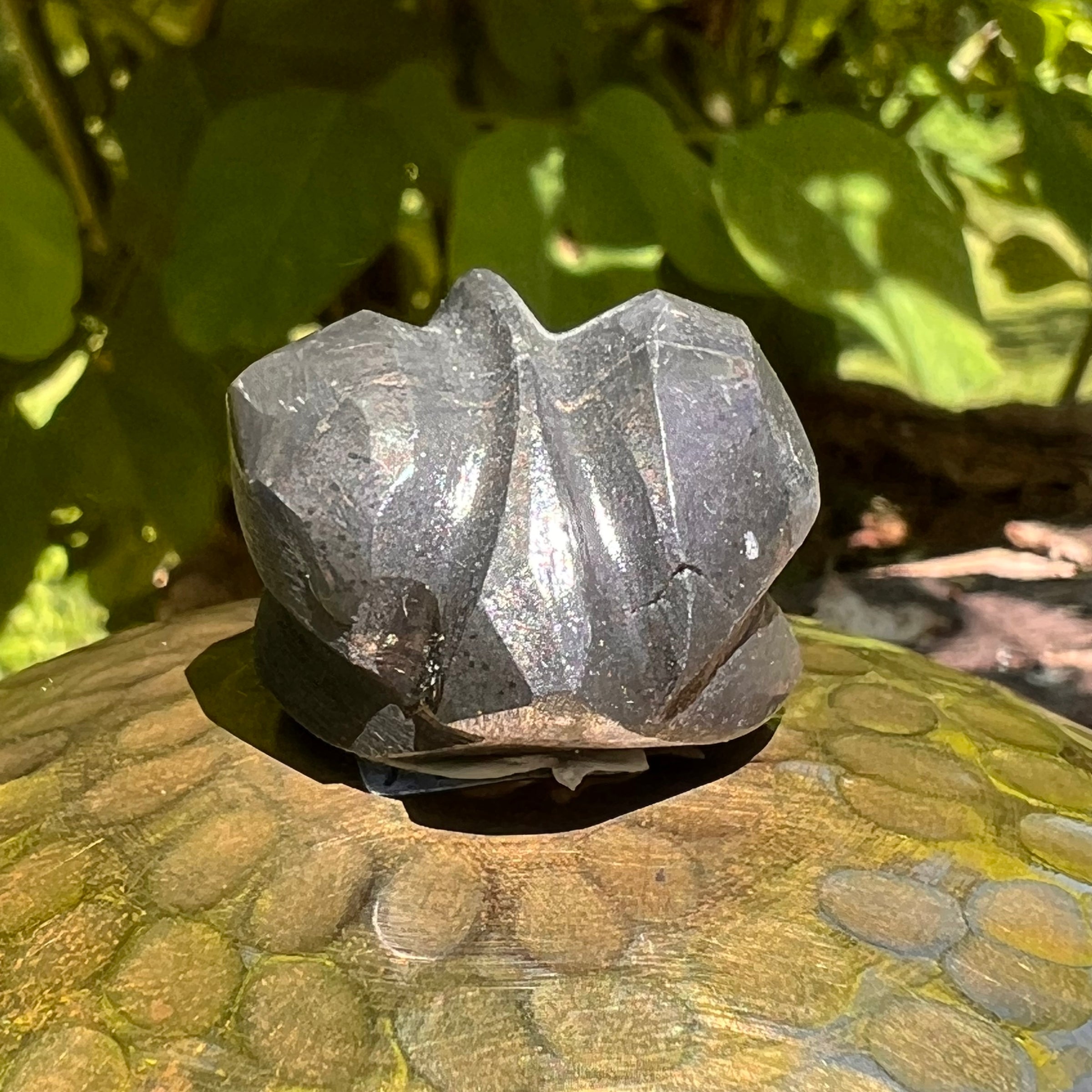 Alien Crystal Carving - Alienite® Star Being #33-Moldavite Life