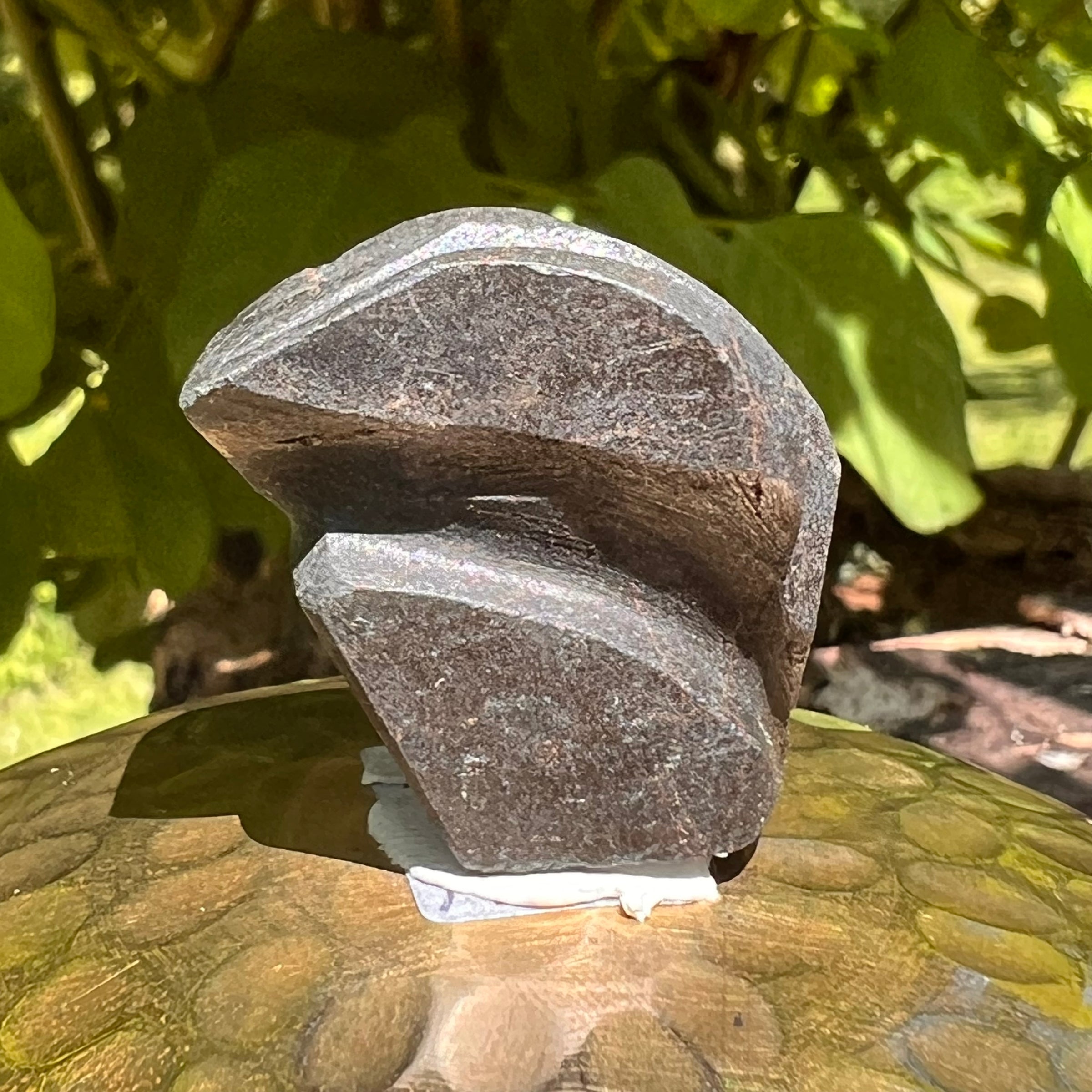 Alien Crystal Carving - Alienite® Star Being #34-Moldavite Life