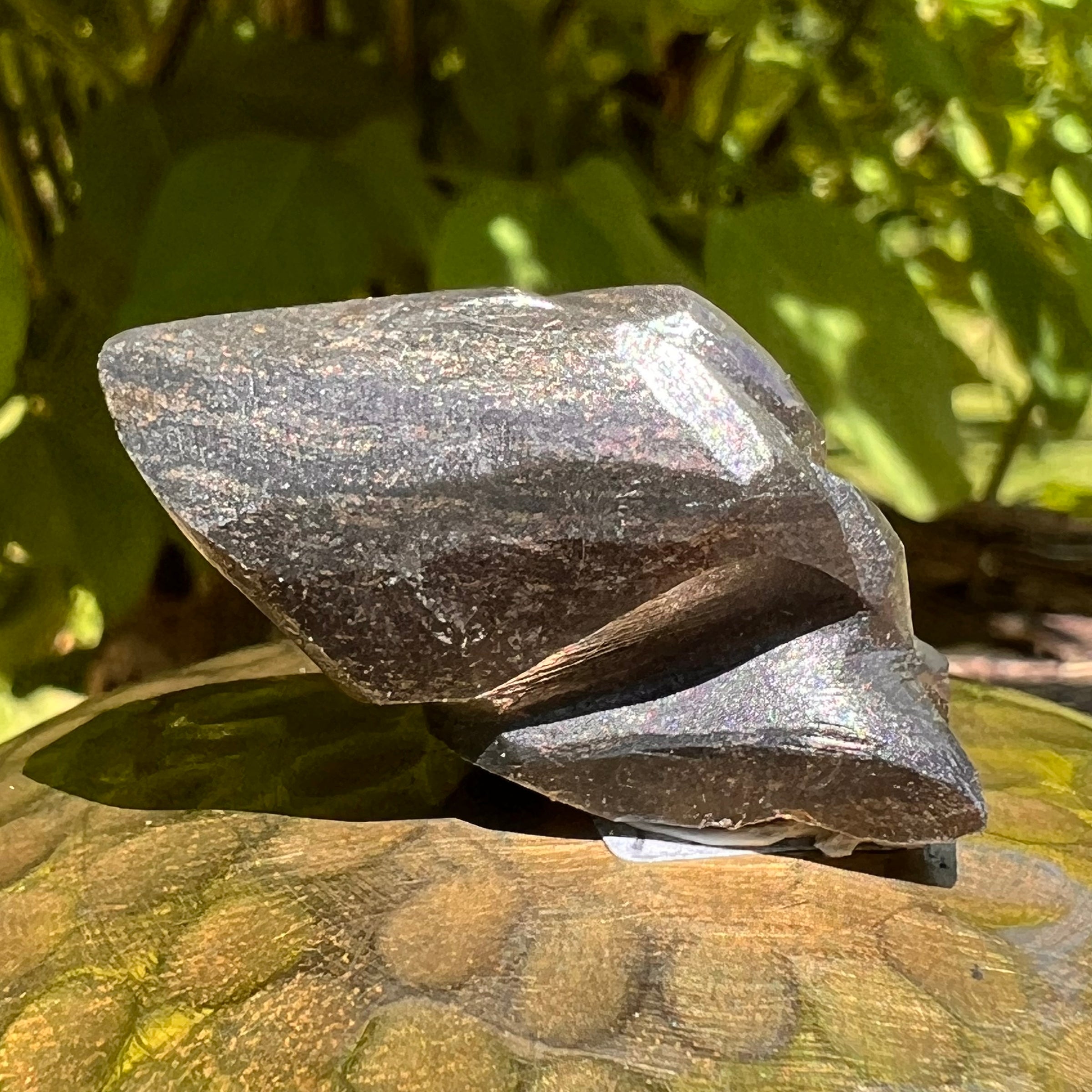 Alien Crystal Carving - Alienite® Star Being #35-Moldavite Life