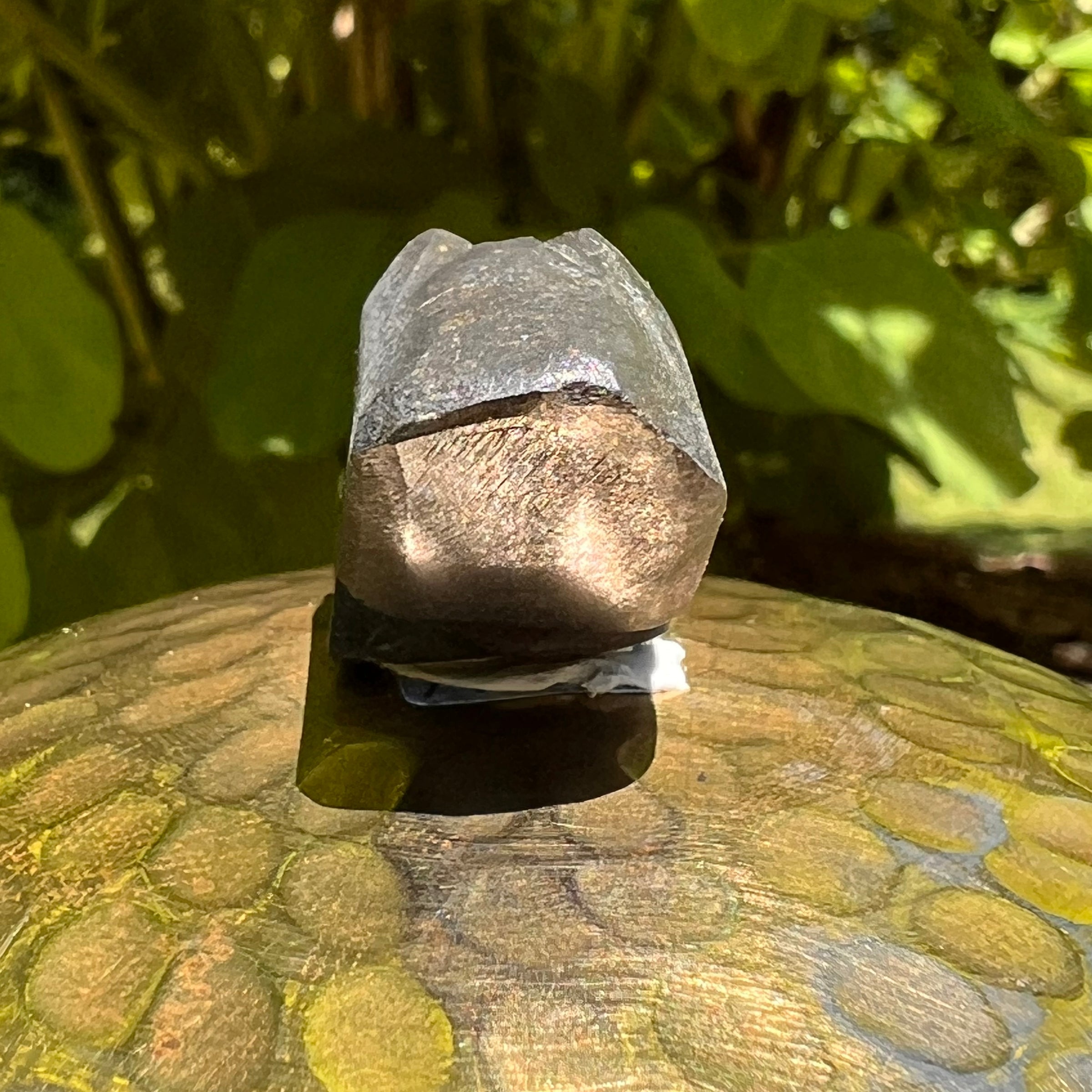 Alien Crystal Carving - Alienite® Star Being #35-Moldavite Life