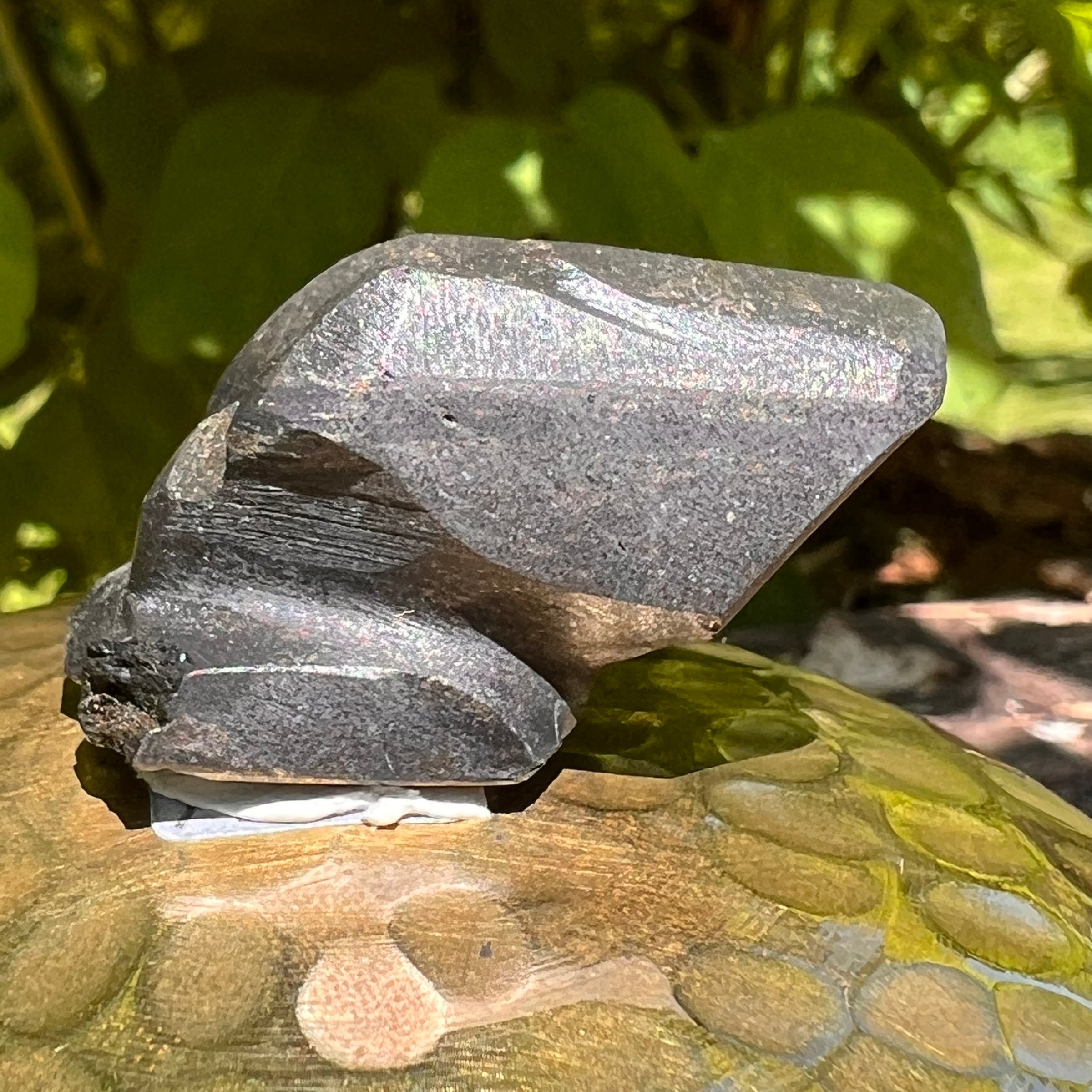 Alien Crystal Carving - Alienite® Star Being #35-Moldavite Life