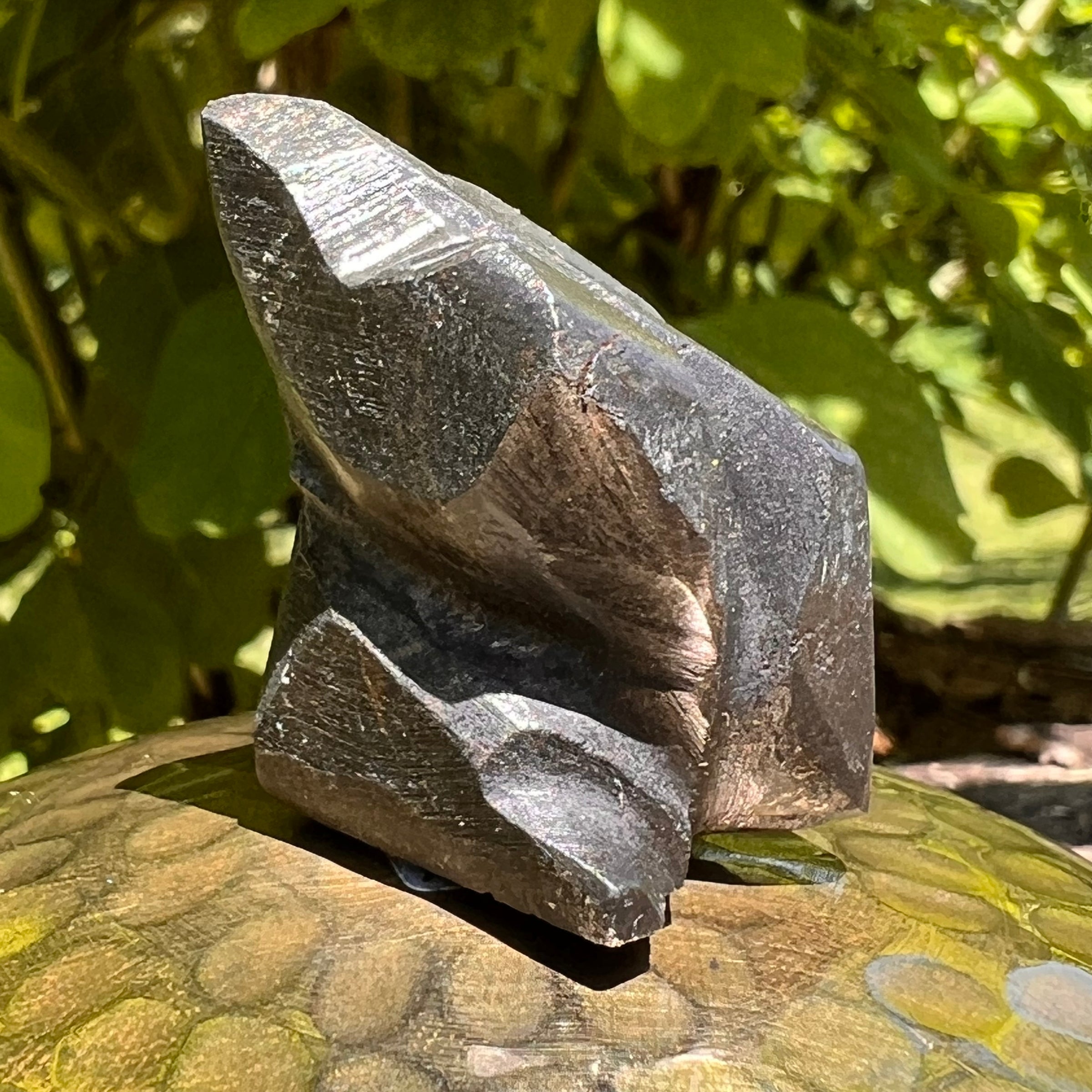 Alien Crystal Carving - Alienite® Star Being #36-Moldavite Life