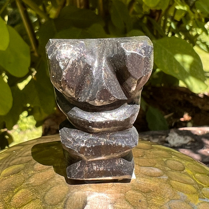 Alien Crystal Carving - Alienite® Star Being #37-Moldavite Life