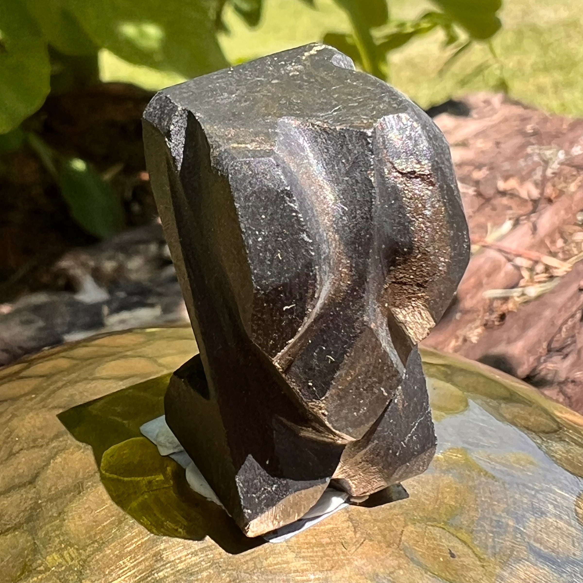 Alien Crystal Carving - Alienite® Star Being #38-Moldavite Life