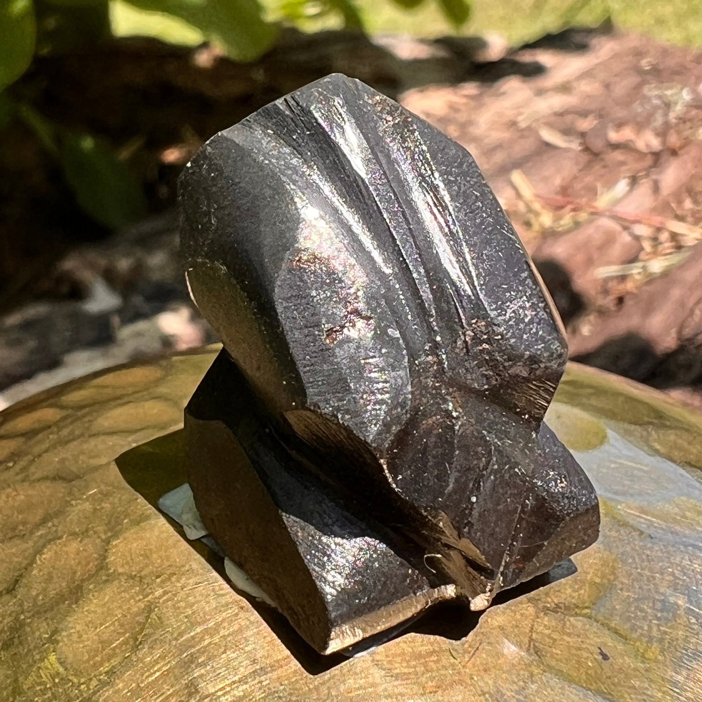 Alien Crystal Carving - Alienite® Star Being #40-Moldavite Life