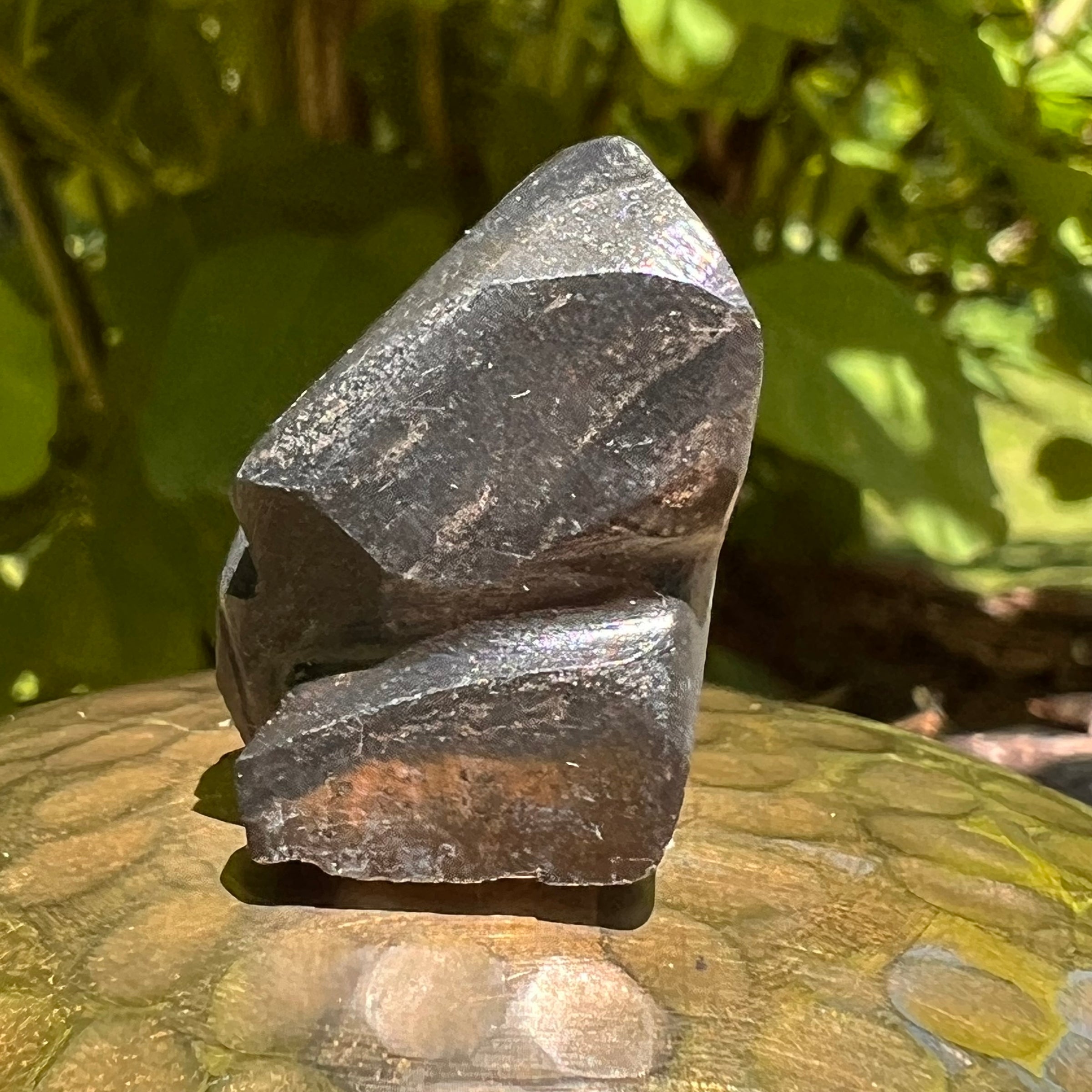 Alien Crystal Carving - Alienite® Star Being #40-Moldavite Life
