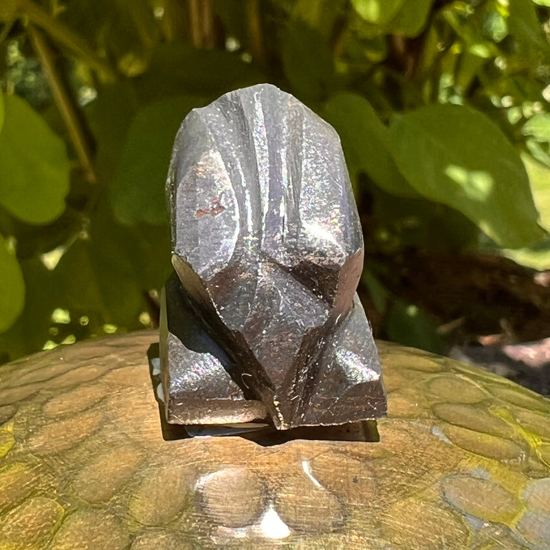 Alien Crystal Carving - Alienite® Star Being #40-Moldavite Life