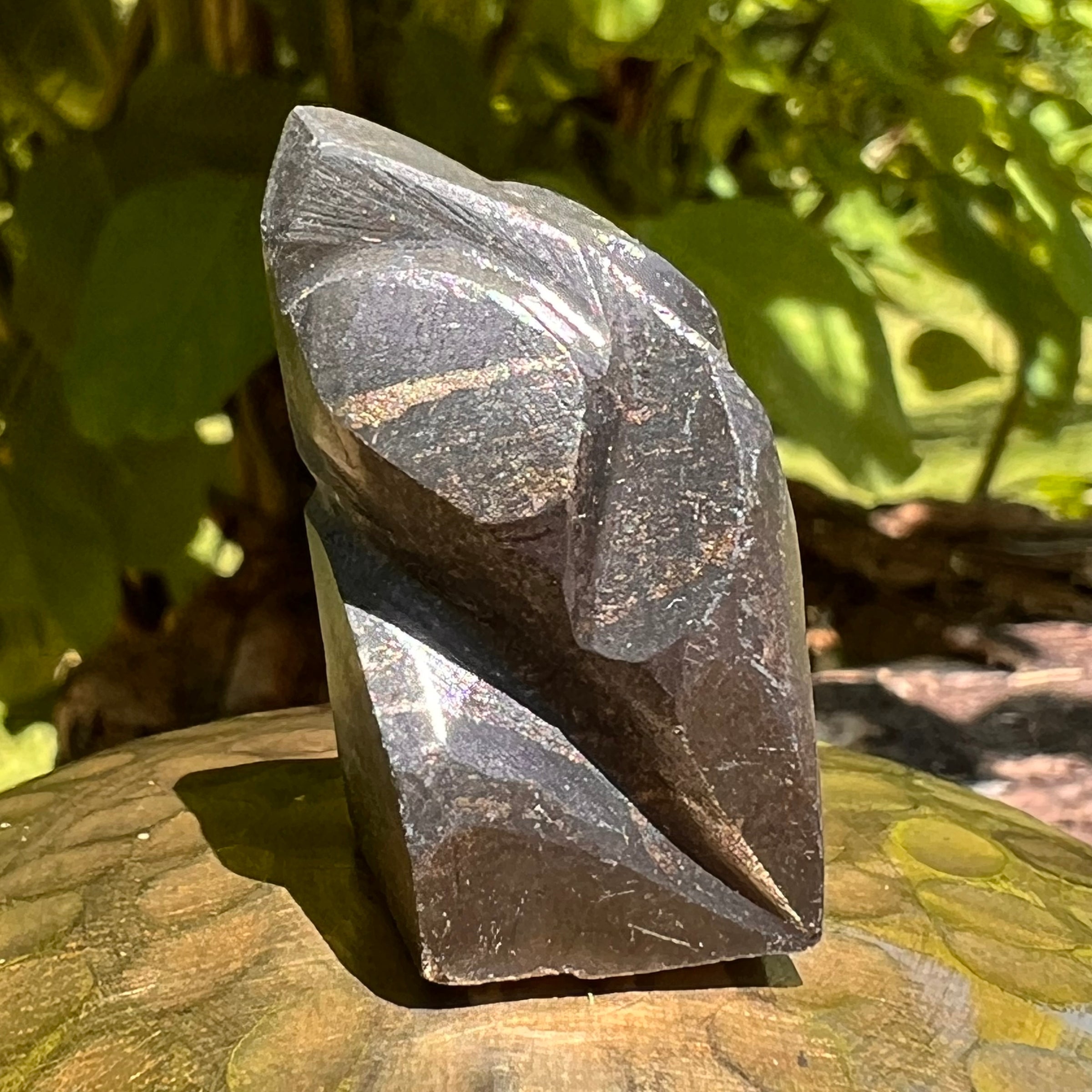 Alien Crystal Carving - Alienite® Star Being #41-Moldavite Life