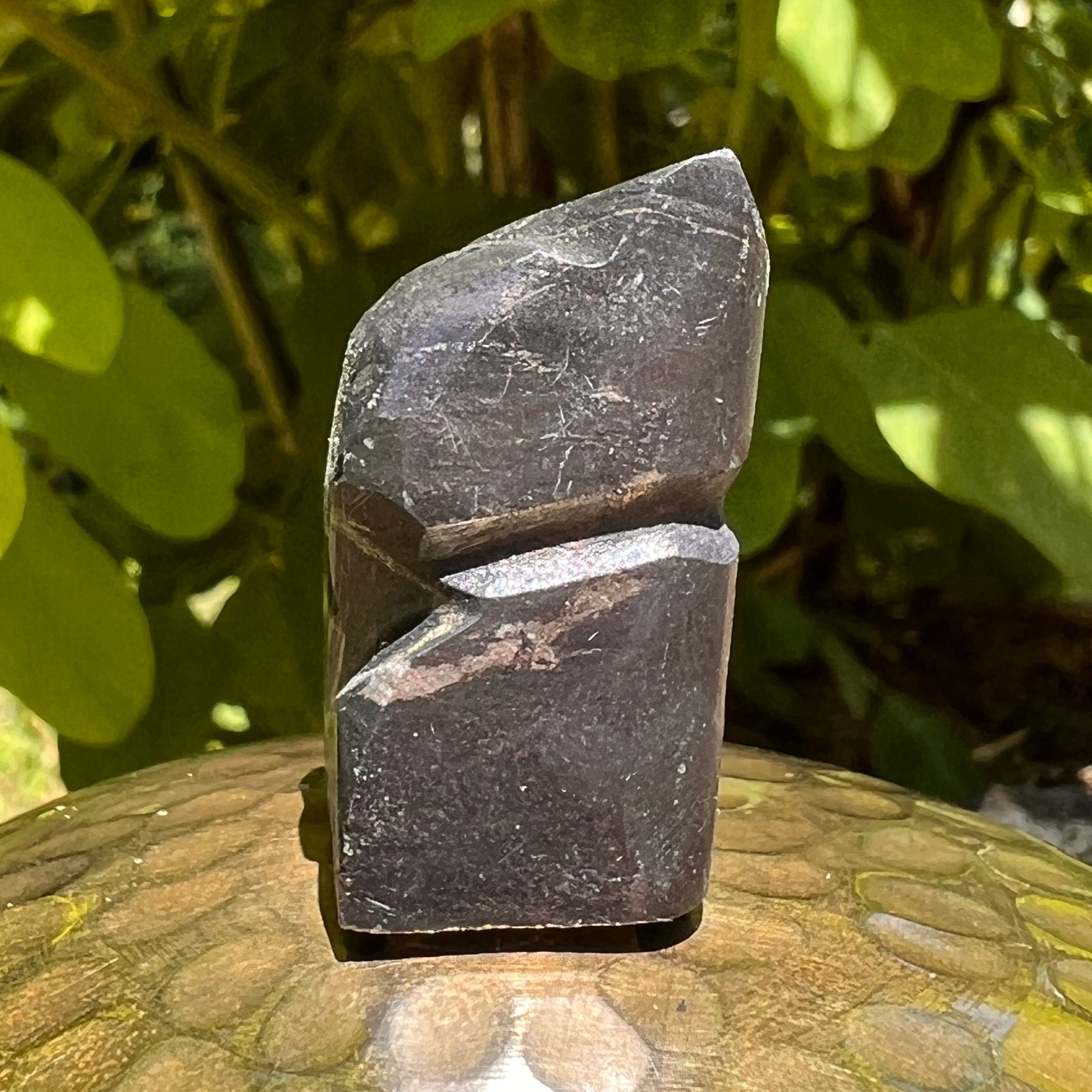 Alien Crystal Carving - Alienite® Star Being #41-Moldavite Life