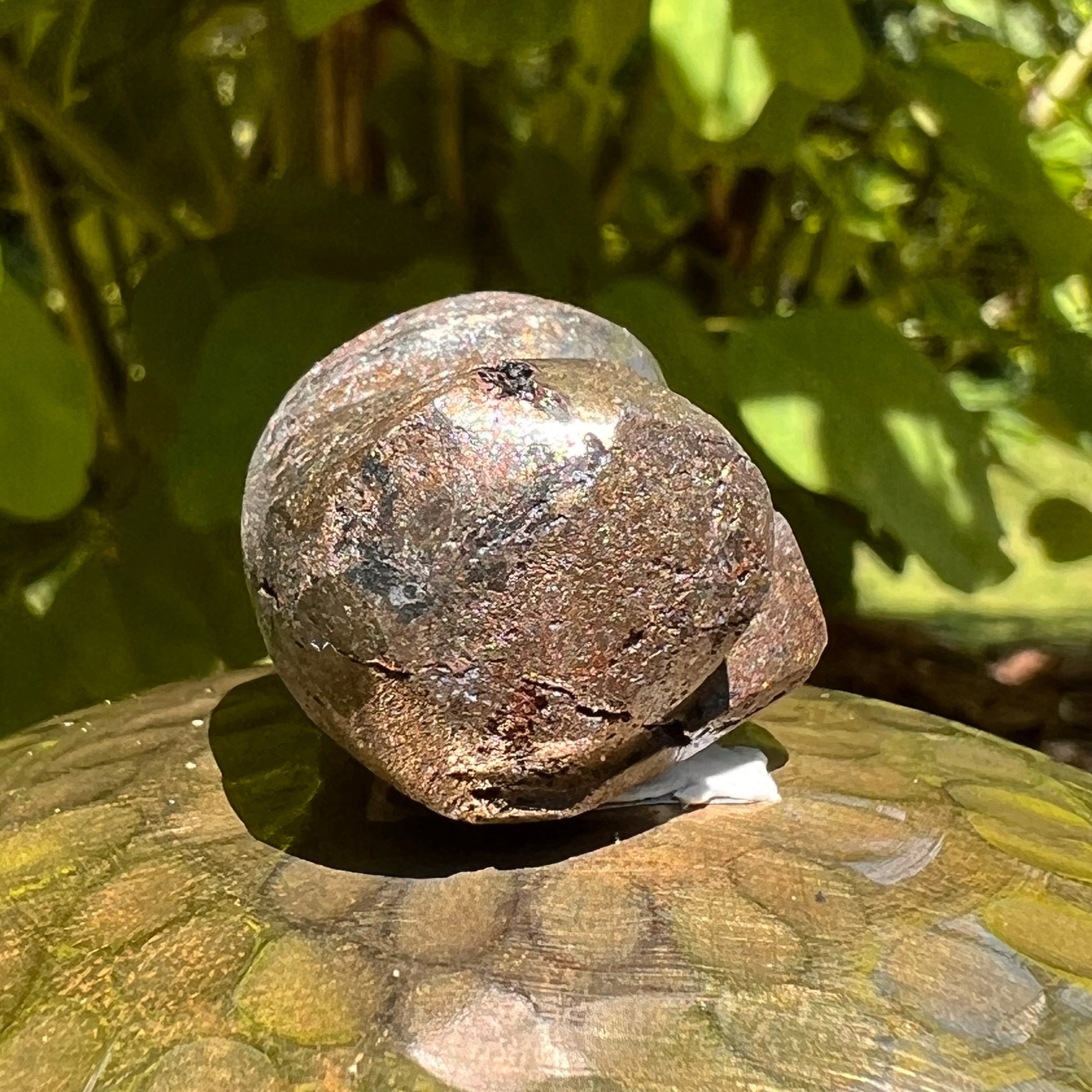 Alien Crystal Carving - Alienite® Star Being #42-Moldavite Life