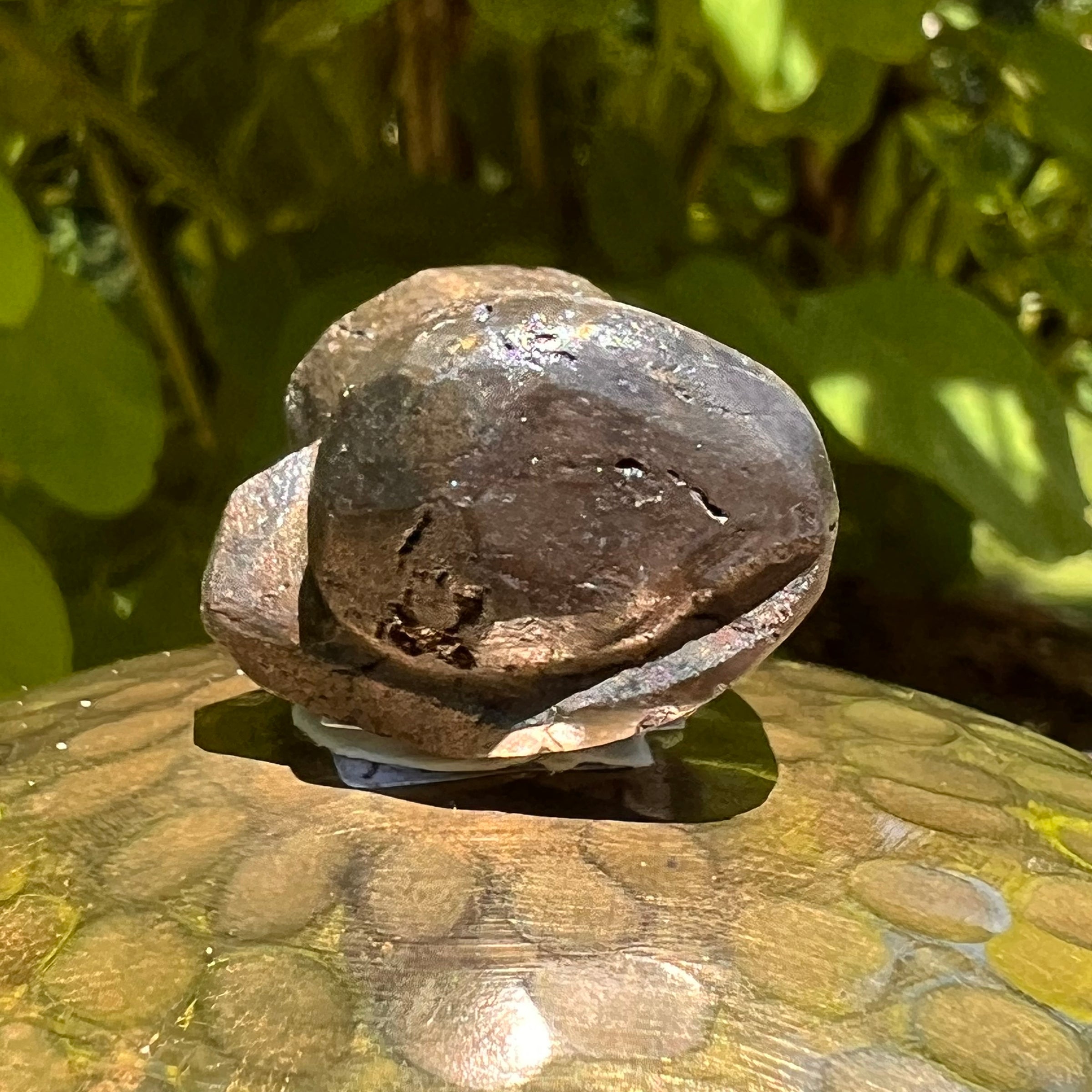 Alien Crystal Carving - Alienite® Star Being #42-Moldavite Life
