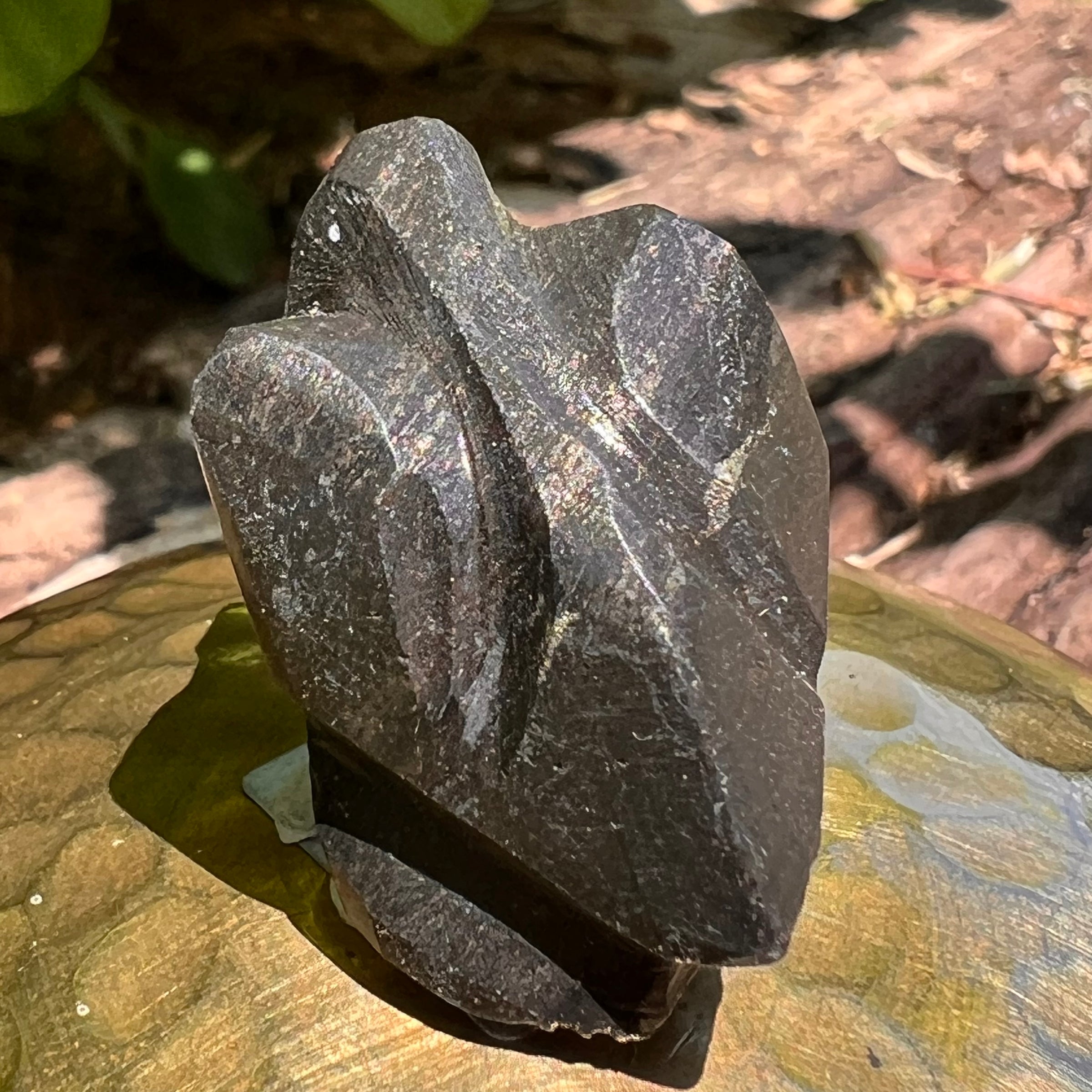 Alien Crystal Carving - Alienite® Star Being #44-Moldavite Life