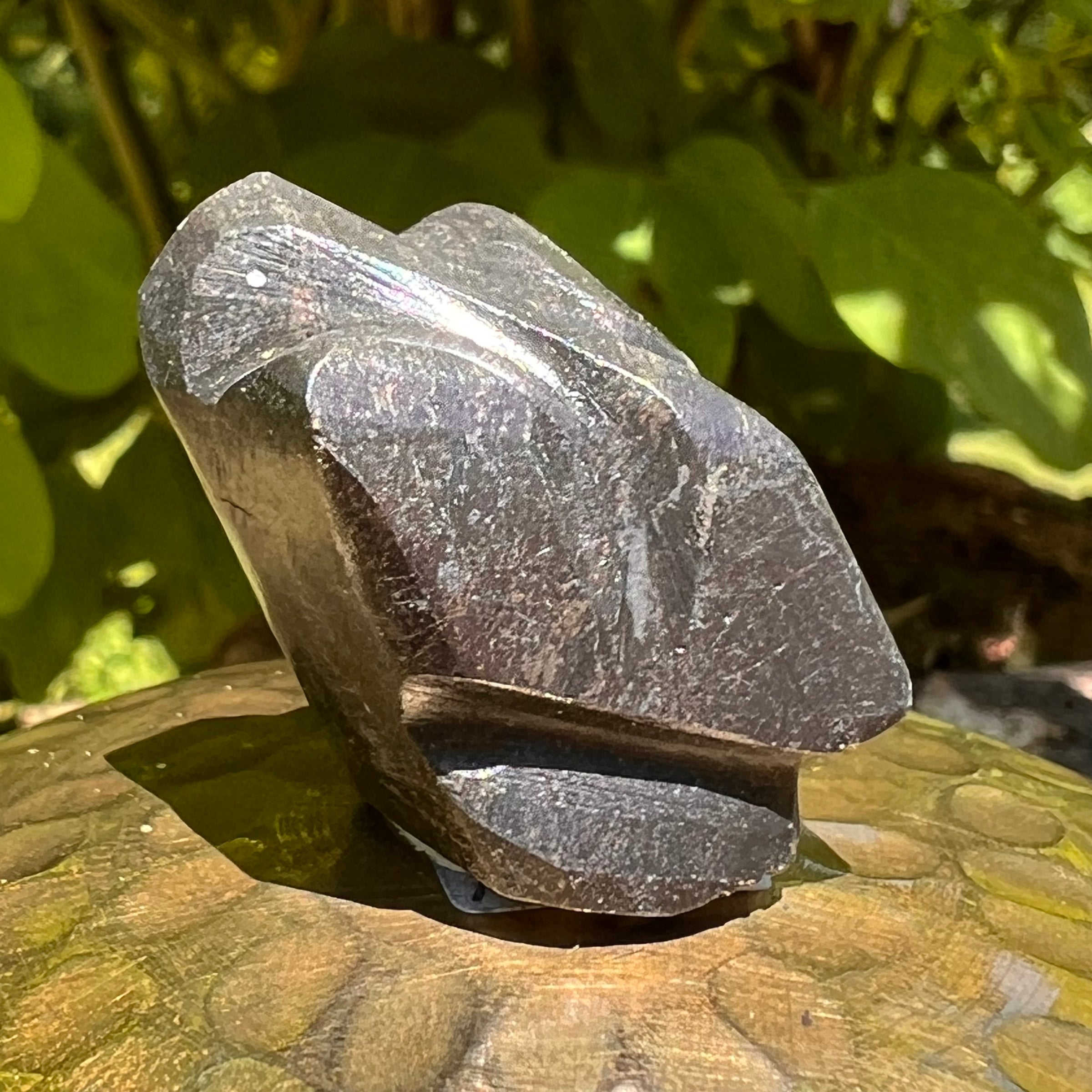 Alien Crystal Carving - Alienite® Star Being #44-Moldavite Life