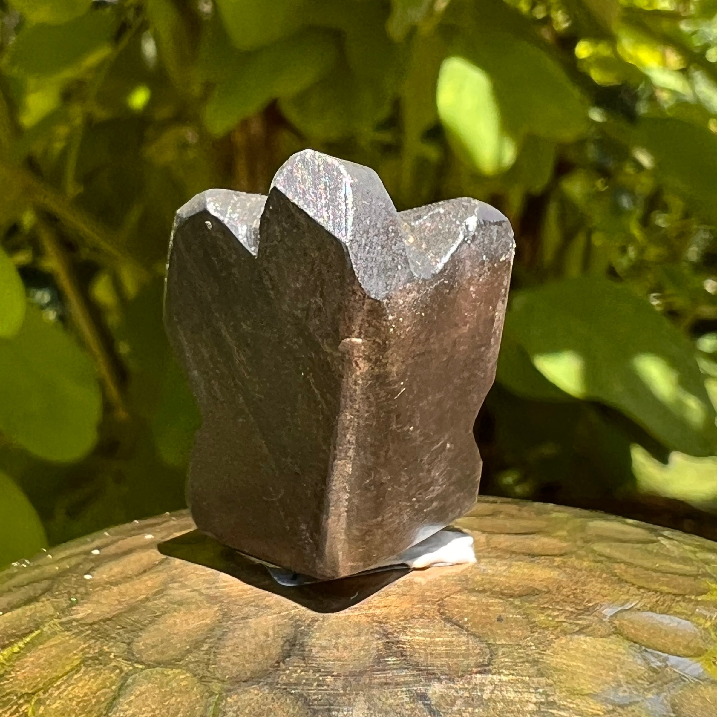 Alien Crystal Carving - Alienite® Star Being #44-Moldavite Life