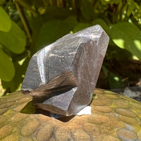 Alien Crystal Carving - Alienite® Star Being #44-Moldavite Life