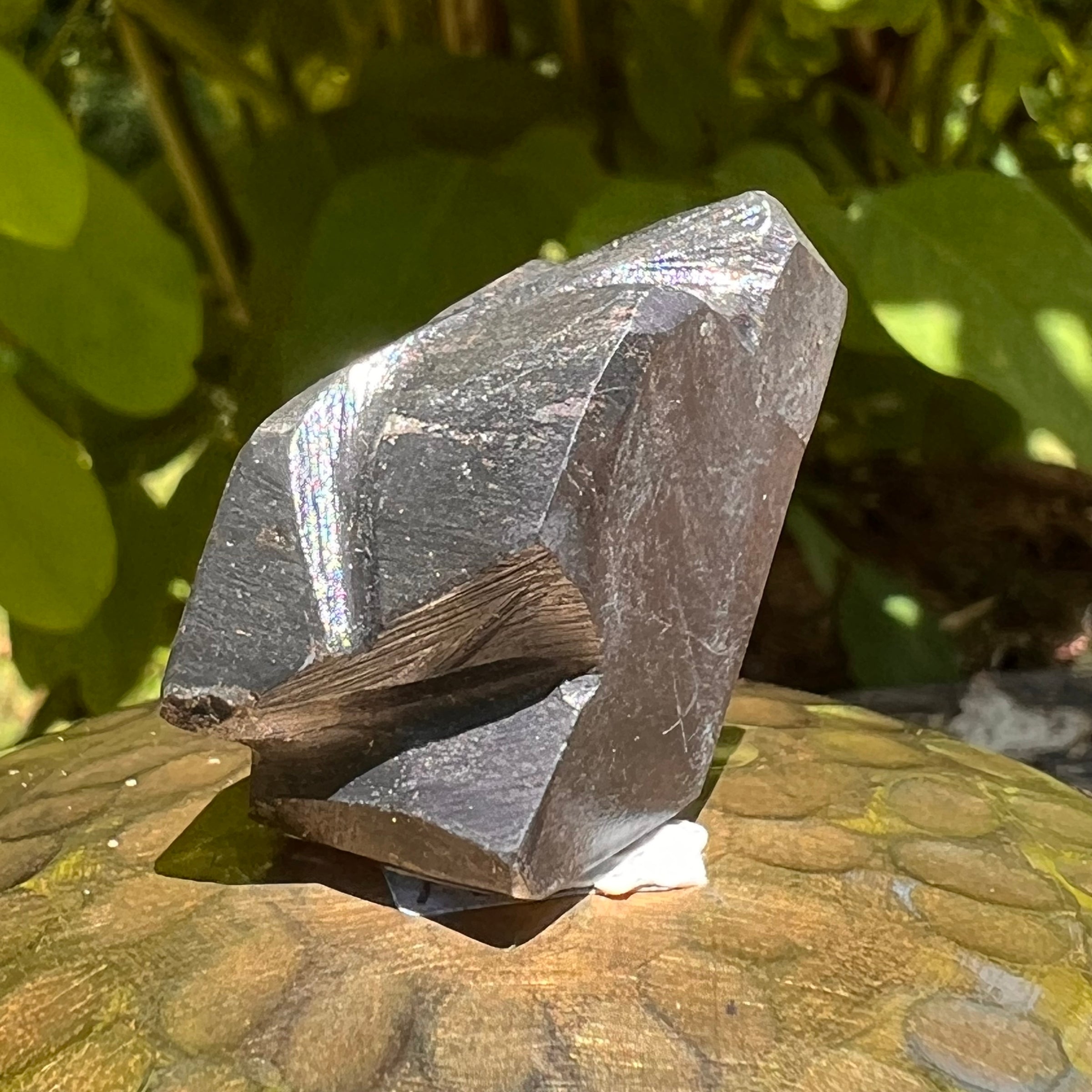Alien Crystal Carving - Alienite® Star Being #44-Moldavite Life