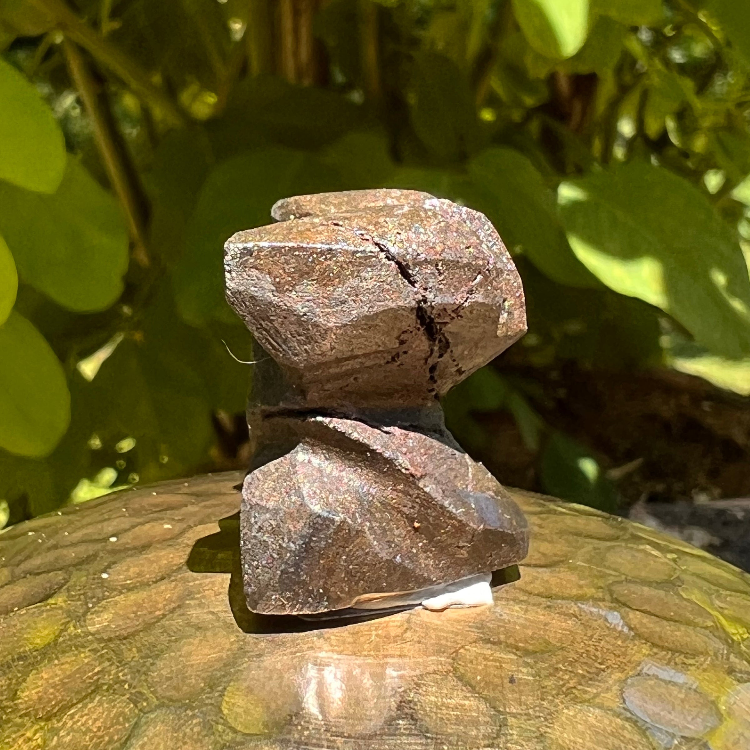 Alien Crystal Carving - Alienite® Star Being #45-Moldavite Life