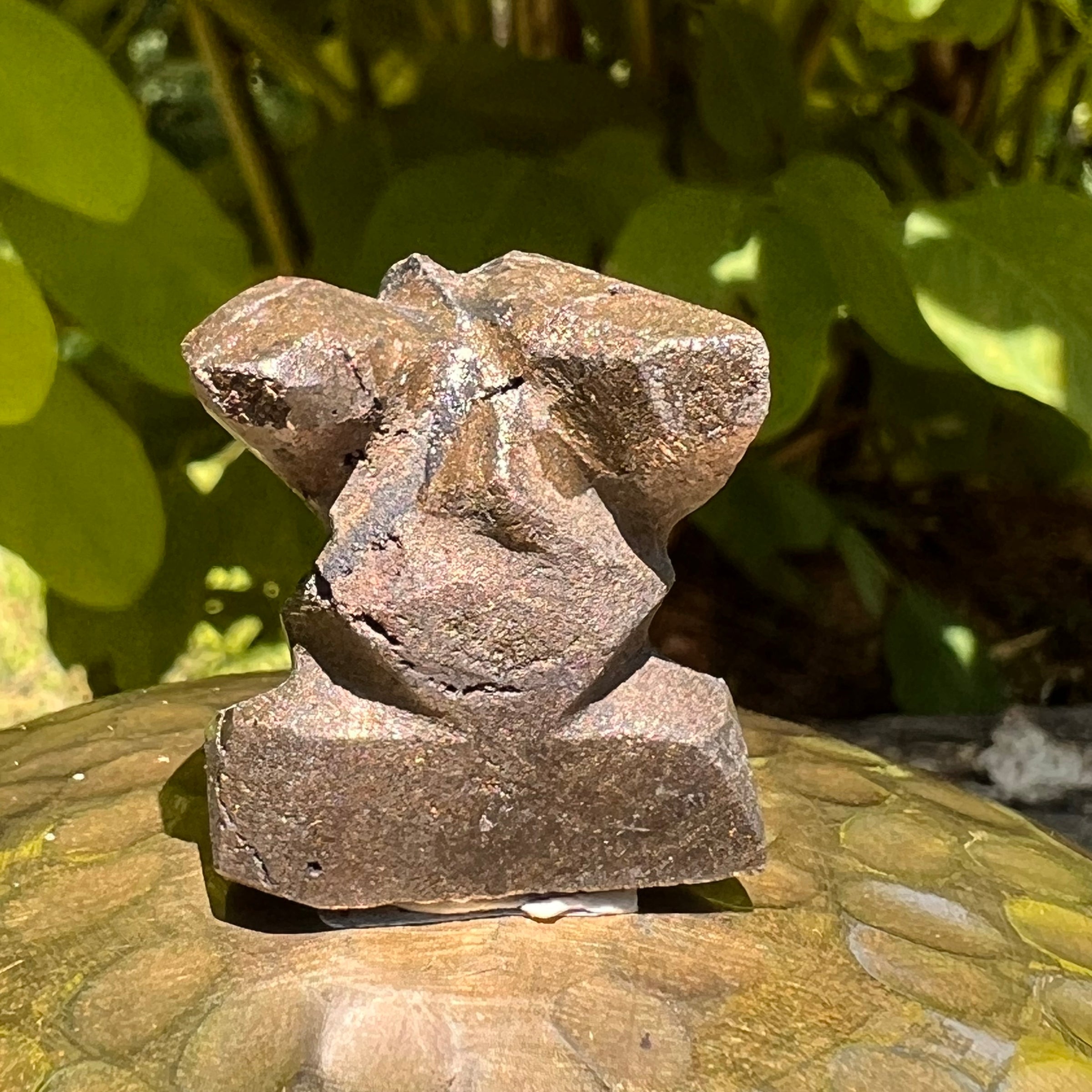 Alien Crystal Carving - Alienite® Star Being #45-Moldavite Life