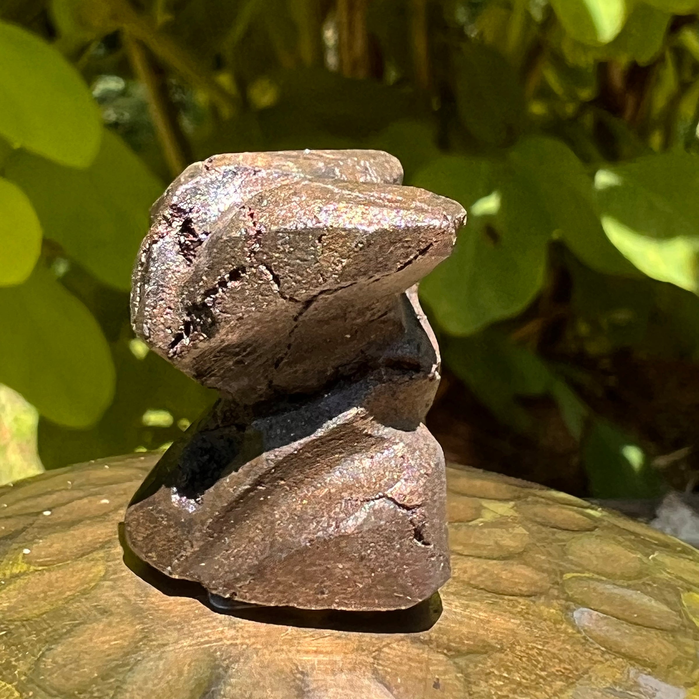 Alien Crystal Carving - Alienite® Star Being #45-Moldavite Life