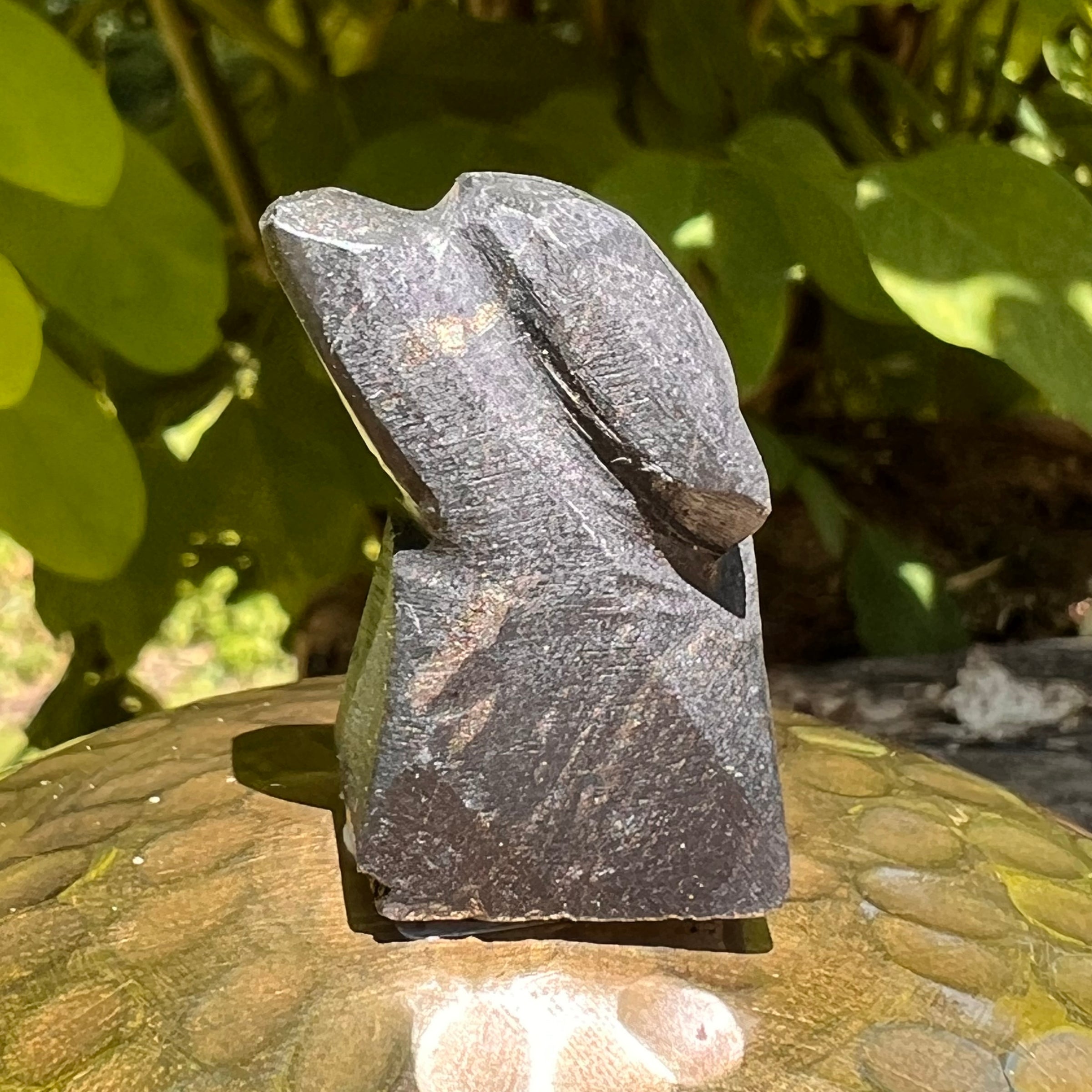 Alien Crystal Carving - Alienite® Star Being #46-Moldavite Life