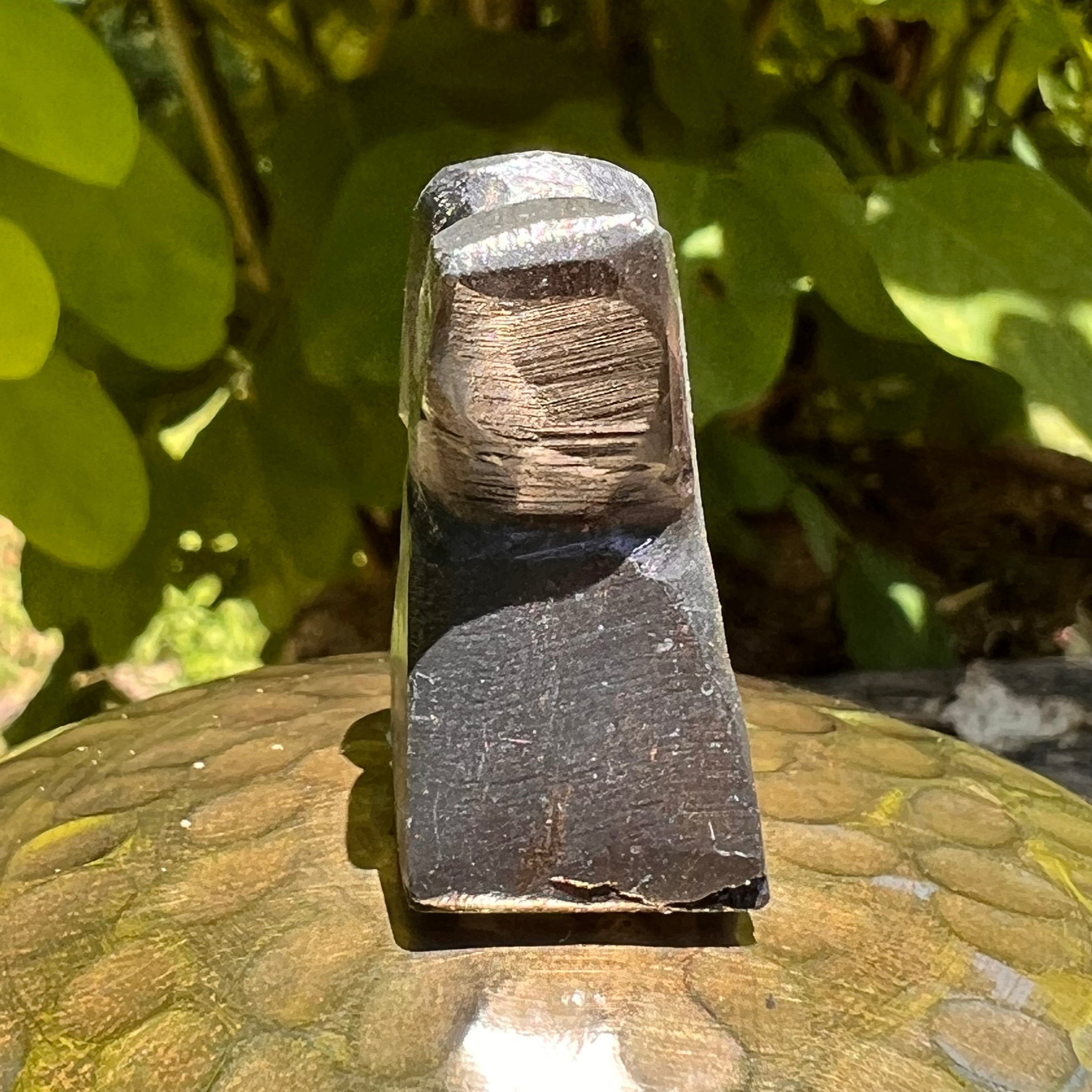 Alien Crystal Carving - Alienite® Star Being #46-Moldavite Life