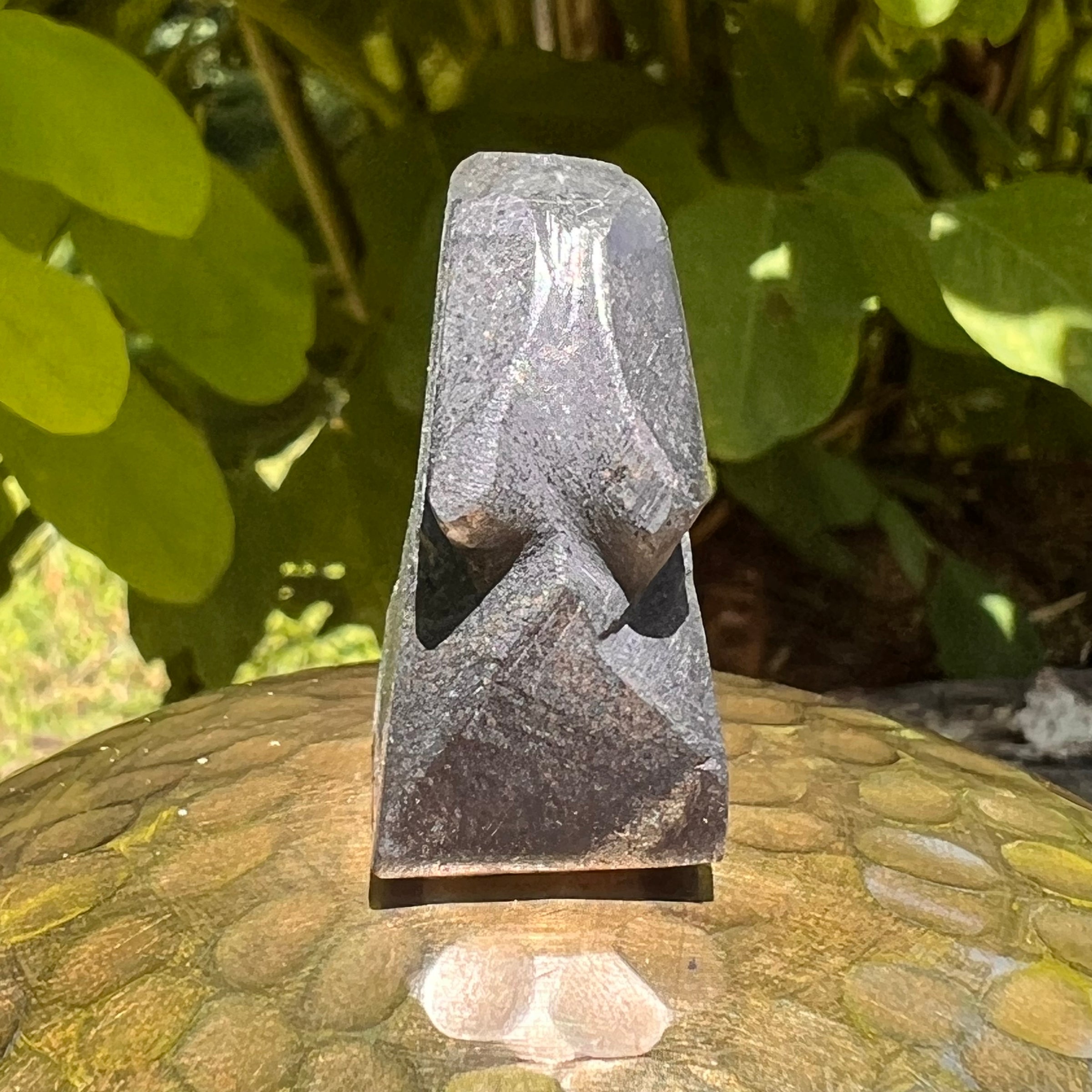 Alien Crystal Carving - Alienite® Star Being #46-Moldavite Life