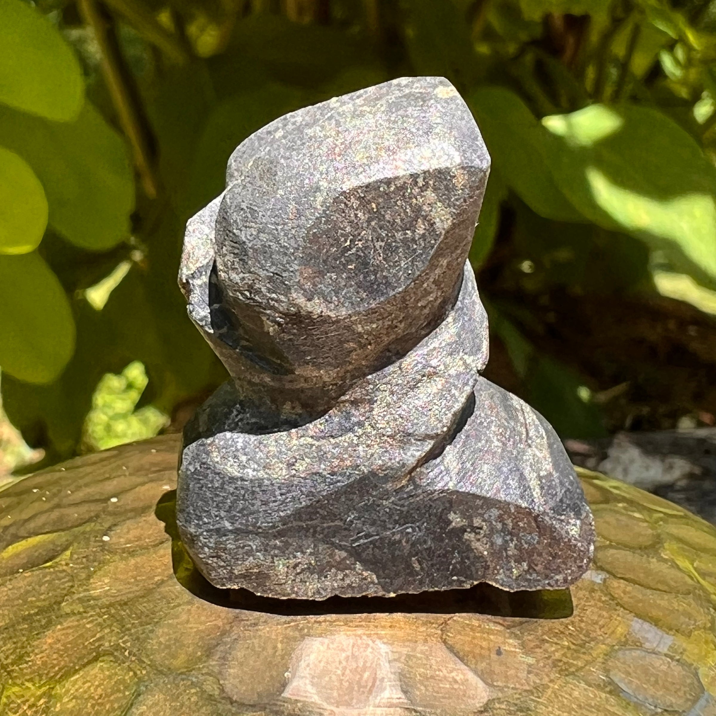 Alien Crystal Carving - Alienite® Star Being #47-Moldavite Life