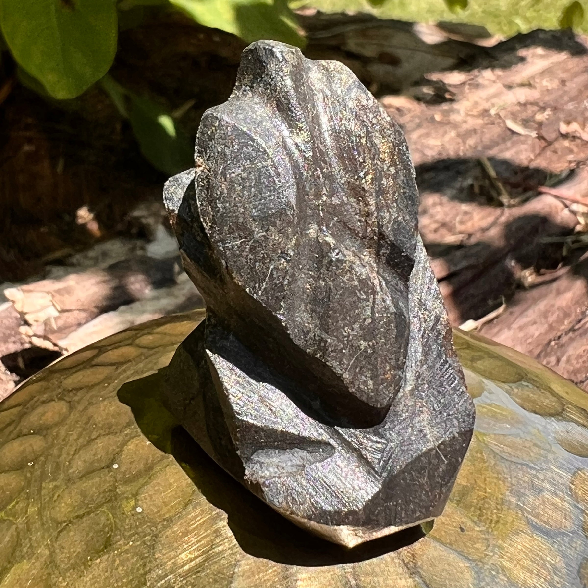 Alien Crystal Carving - Alienite® Star Being #48-Moldavite Life
