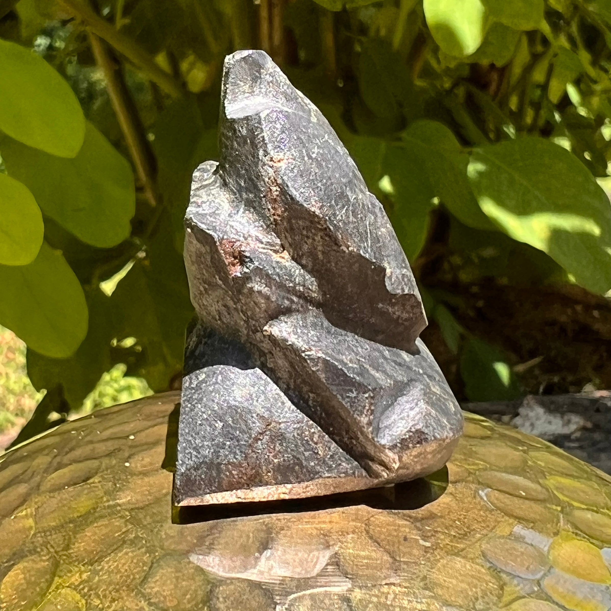 Alien Crystal Carving - Alienite® Star Being #48-Moldavite Life