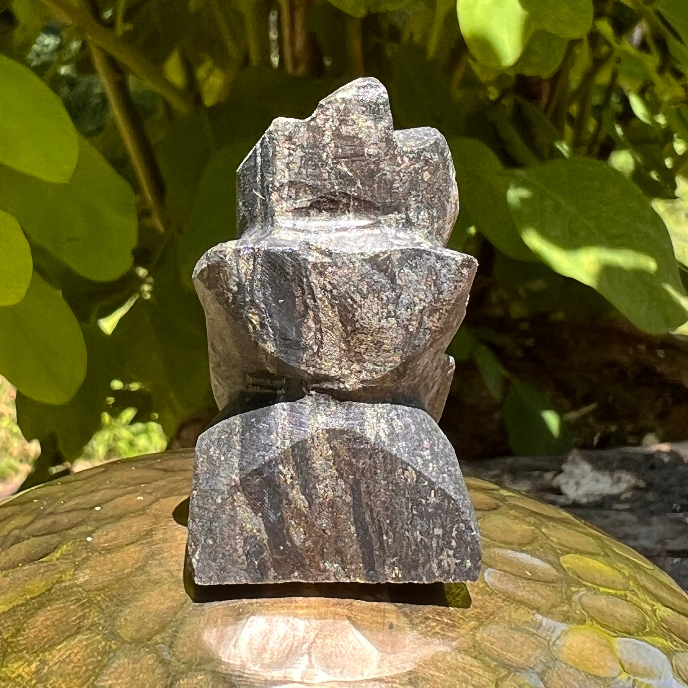 Alien Crystal Carving - Alienite® Star Being #48-Moldavite Life