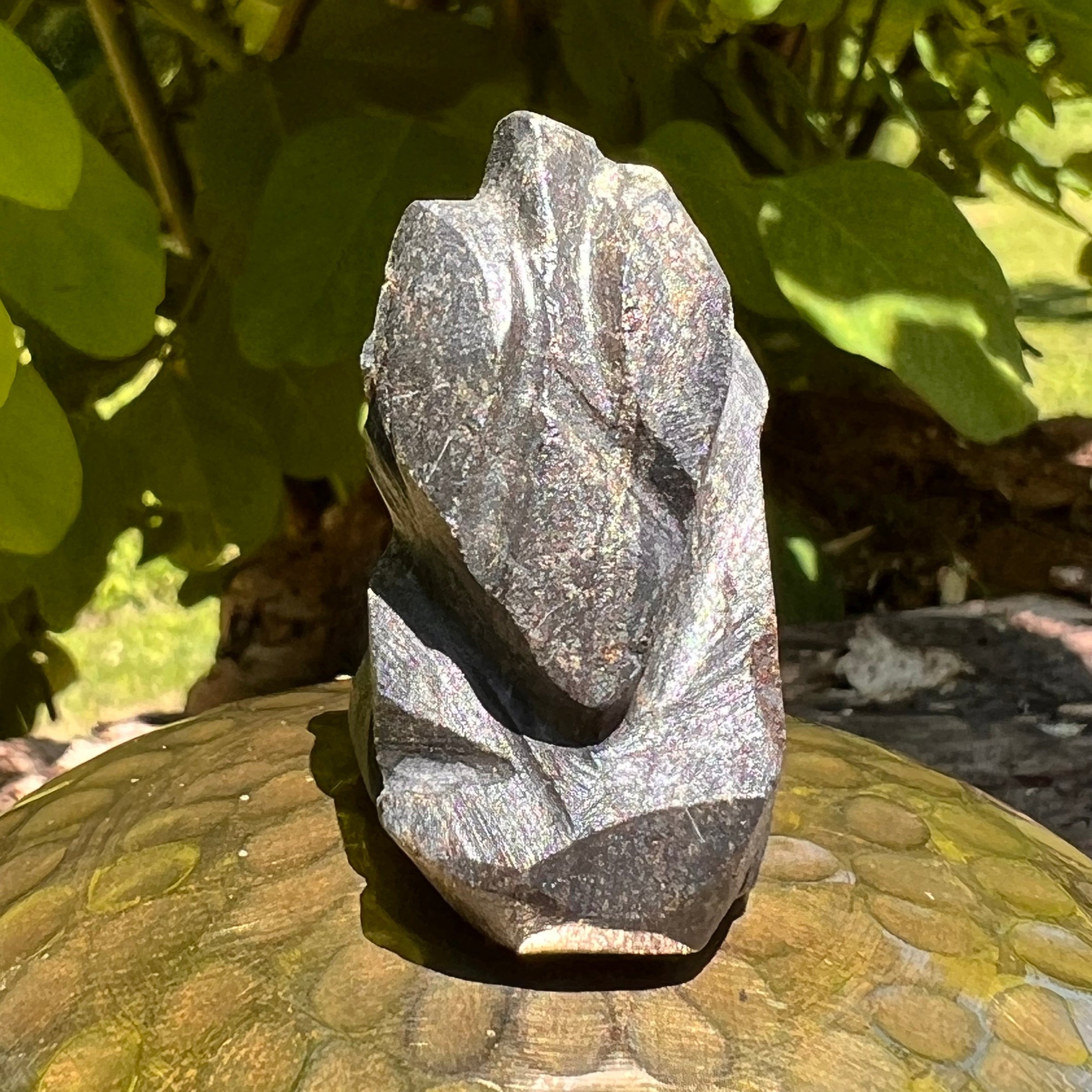 Alien Crystal Carving - Alienite® Star Being #48-Moldavite Life